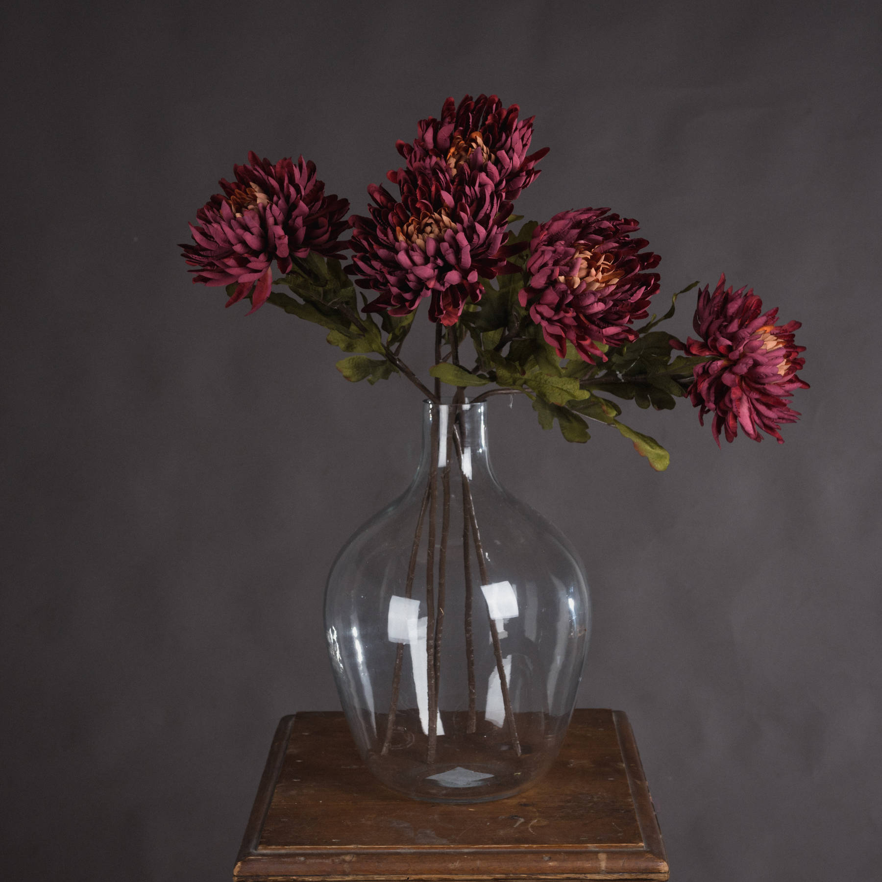 Autumn Spider Chrysanthemum - Image 1