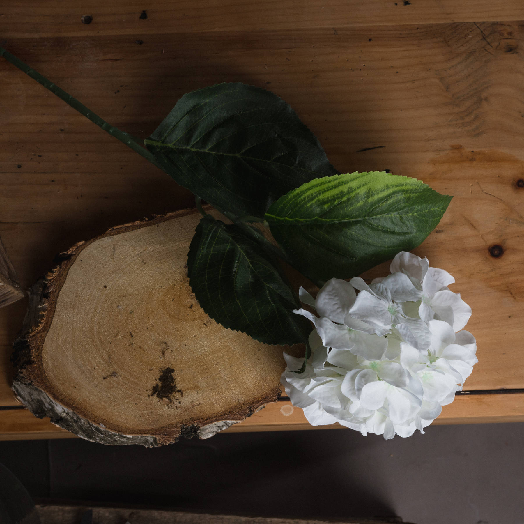 White Small Head Hydrangea - Image 2