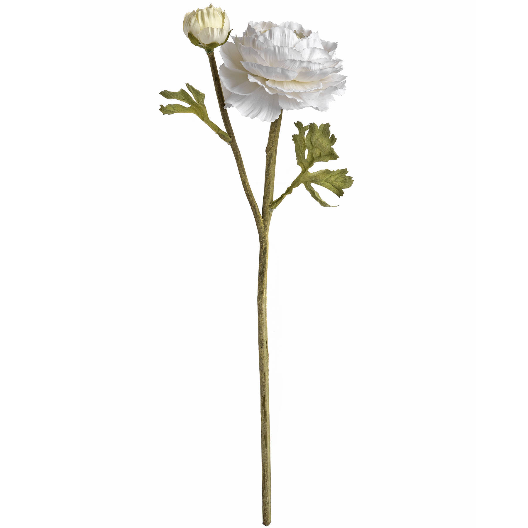 White Ranunculus Spray - Image 6