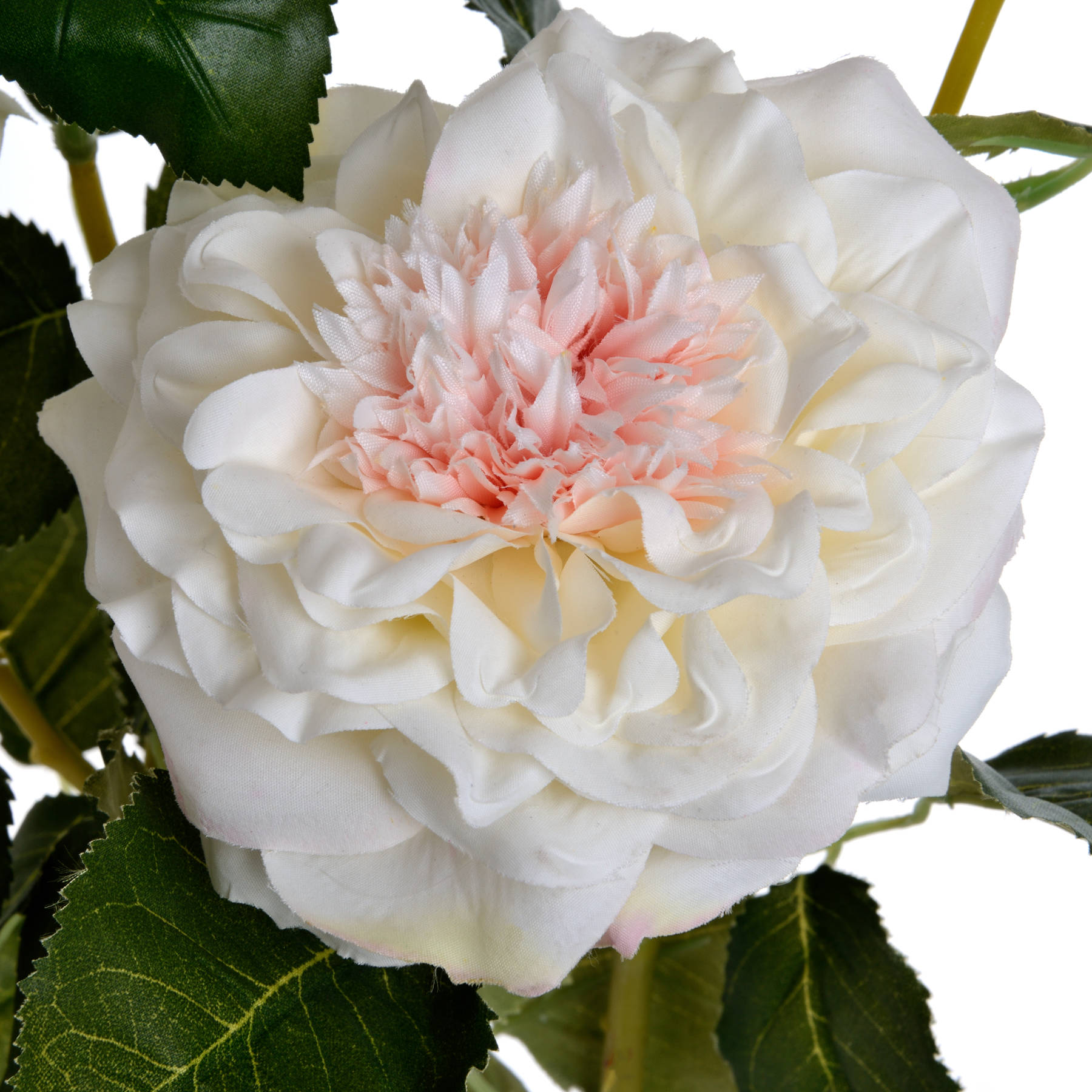 White Garden Rose Spray - Image 5