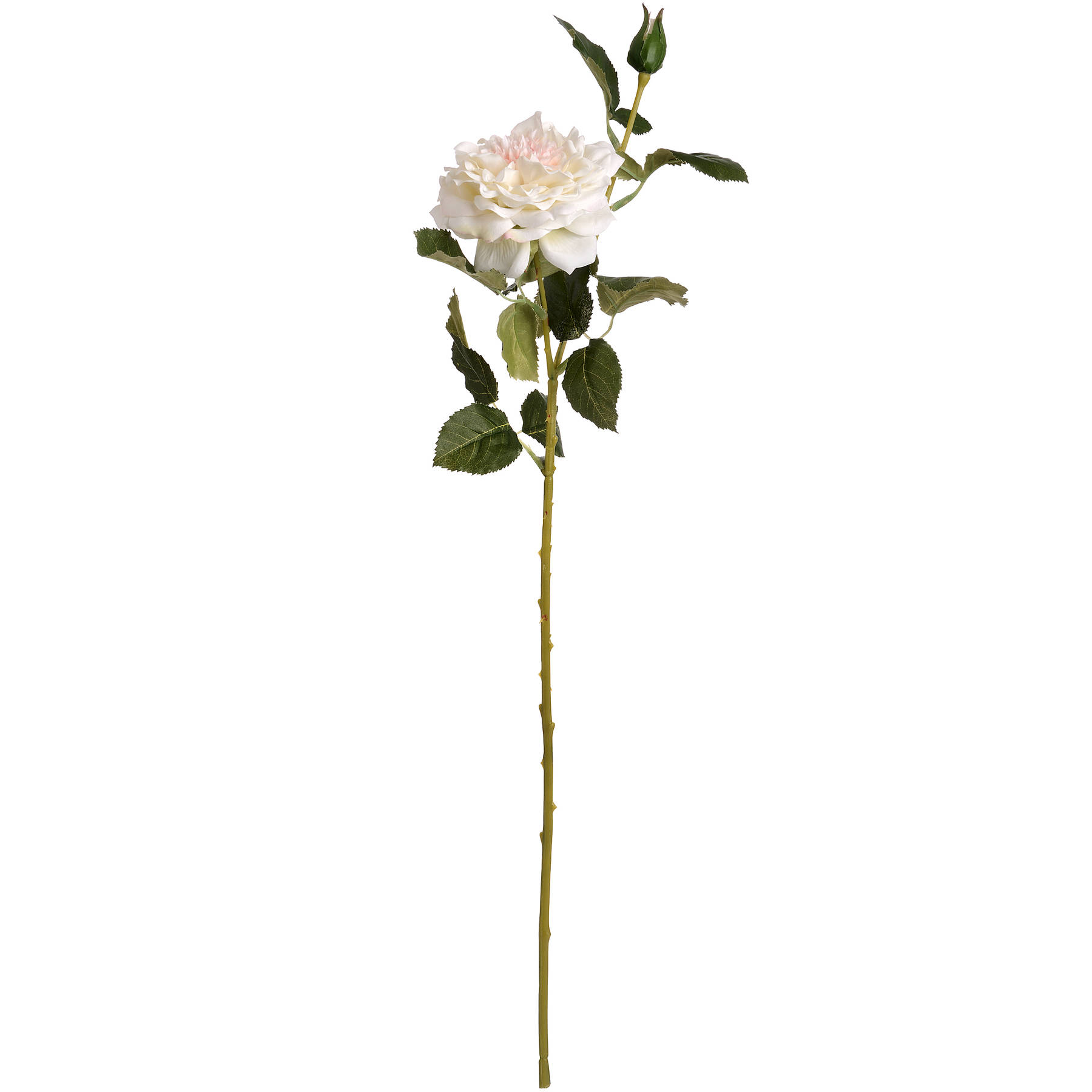 White Garden Rose Spray - Image 6