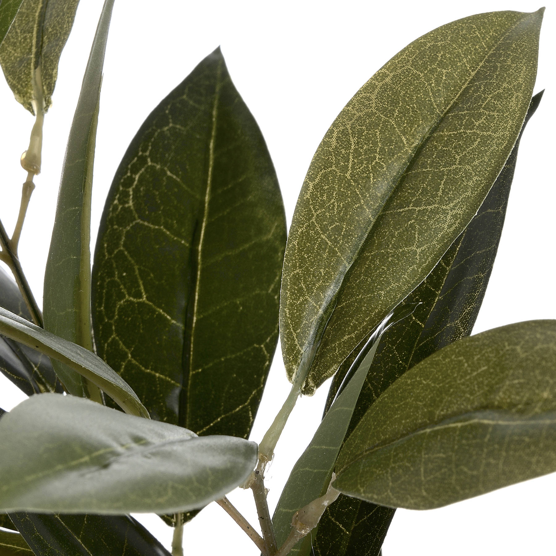 Faux Bay Leaf Spray - Image 5