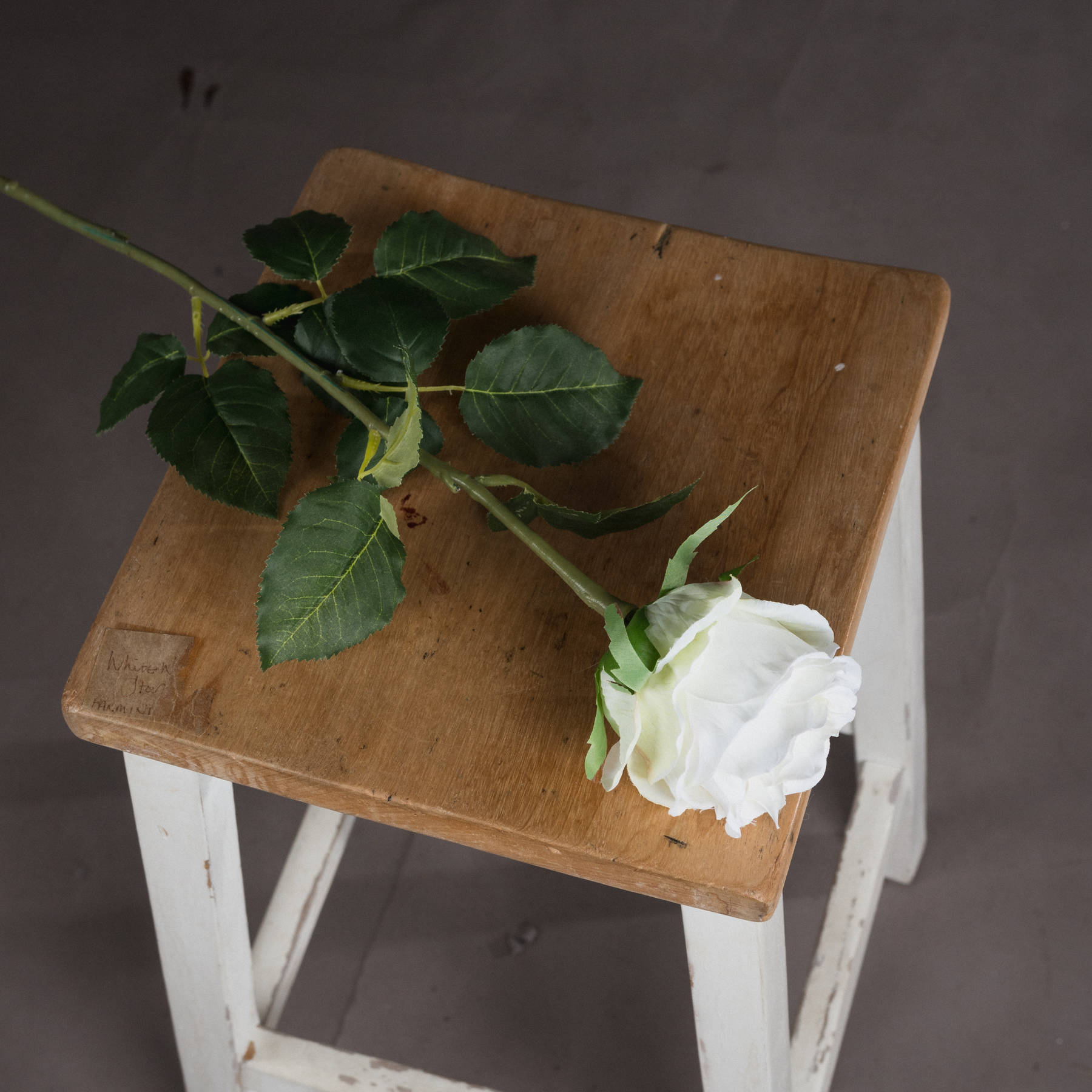 Traditional White Rose - Image 2