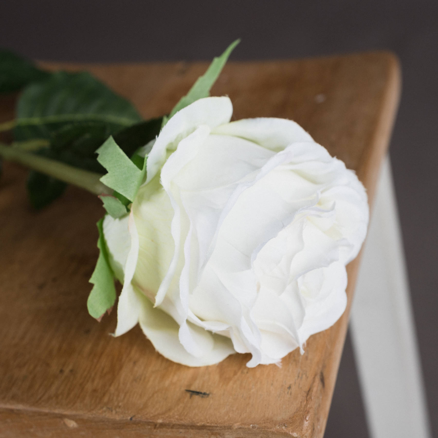 Traditional White Rose - Image 3