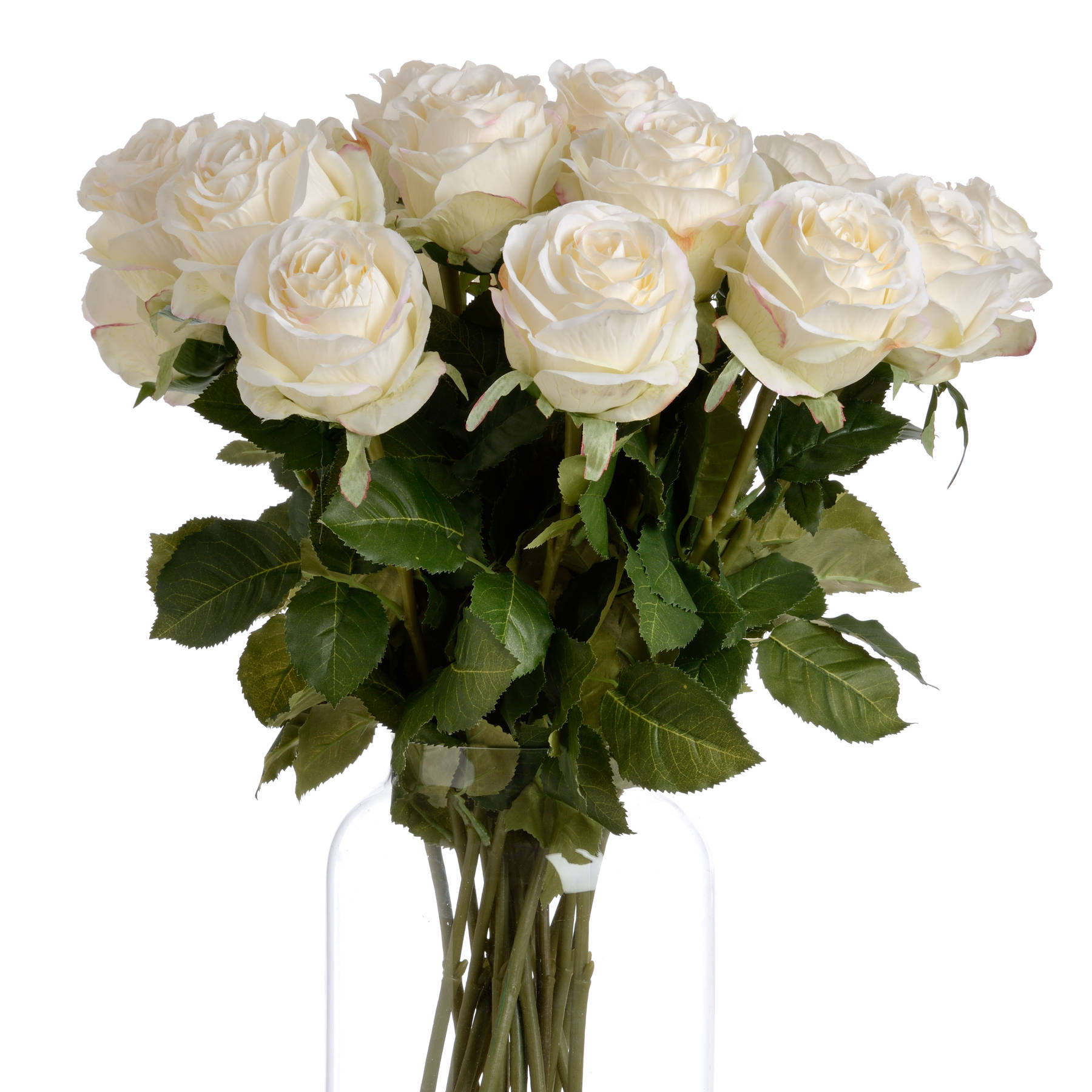 Traditional White Rose - Image 4