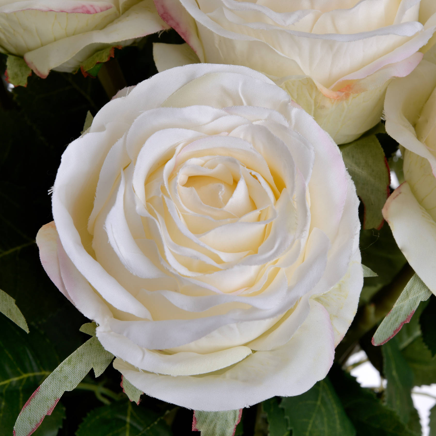 Traditional White Rose - Image 5
