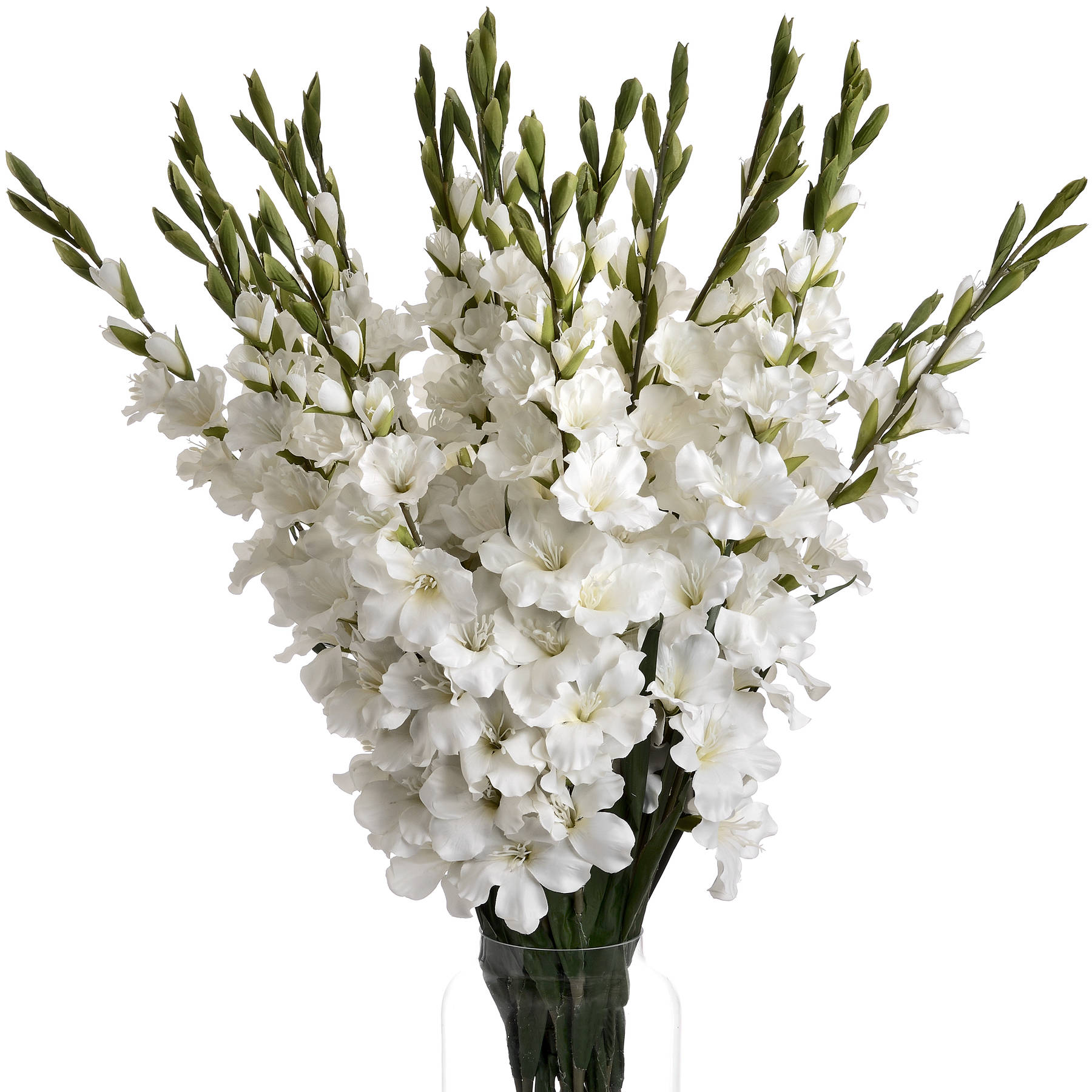 White Gladioli - Image 4