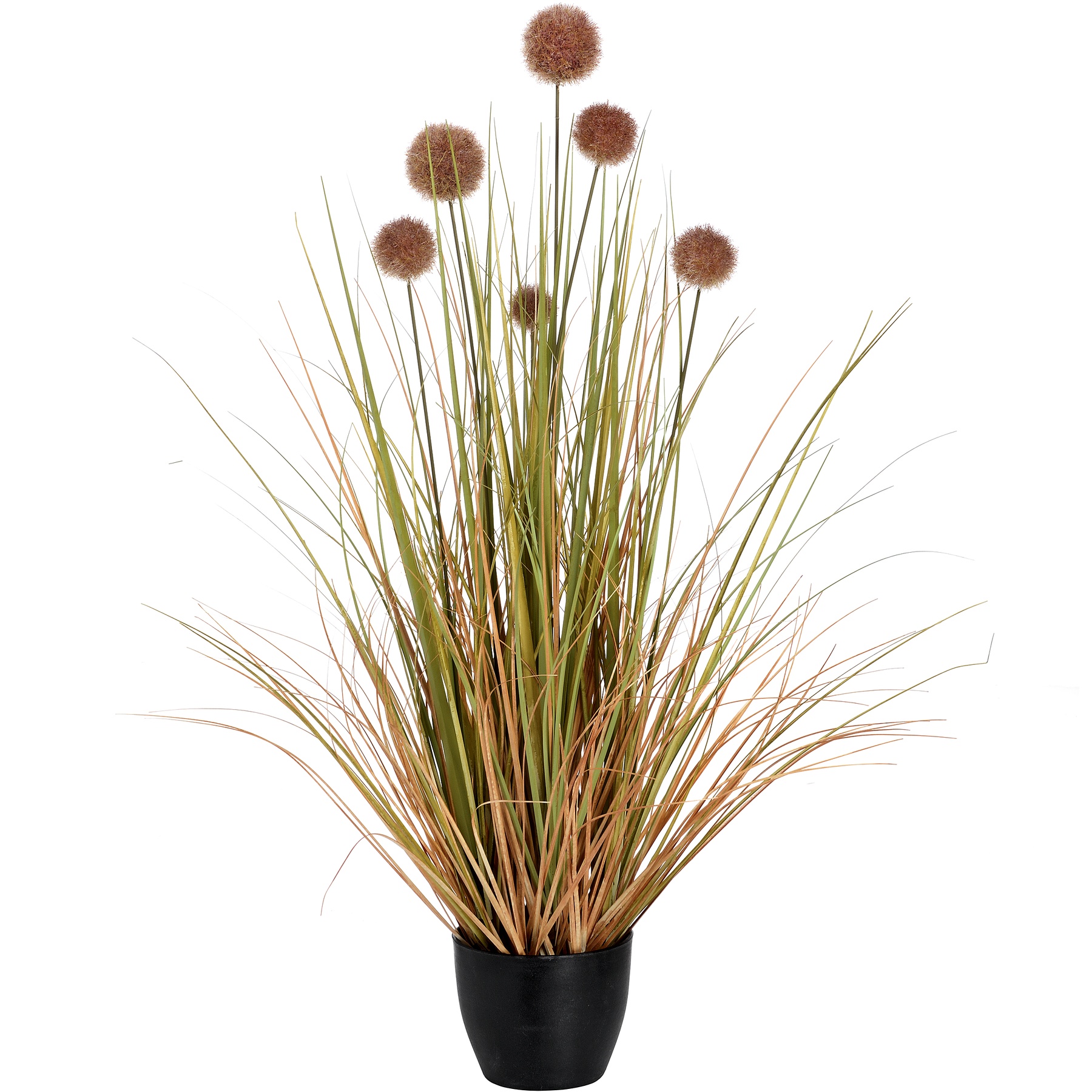 Pom Pom Grass Pot - Image 1