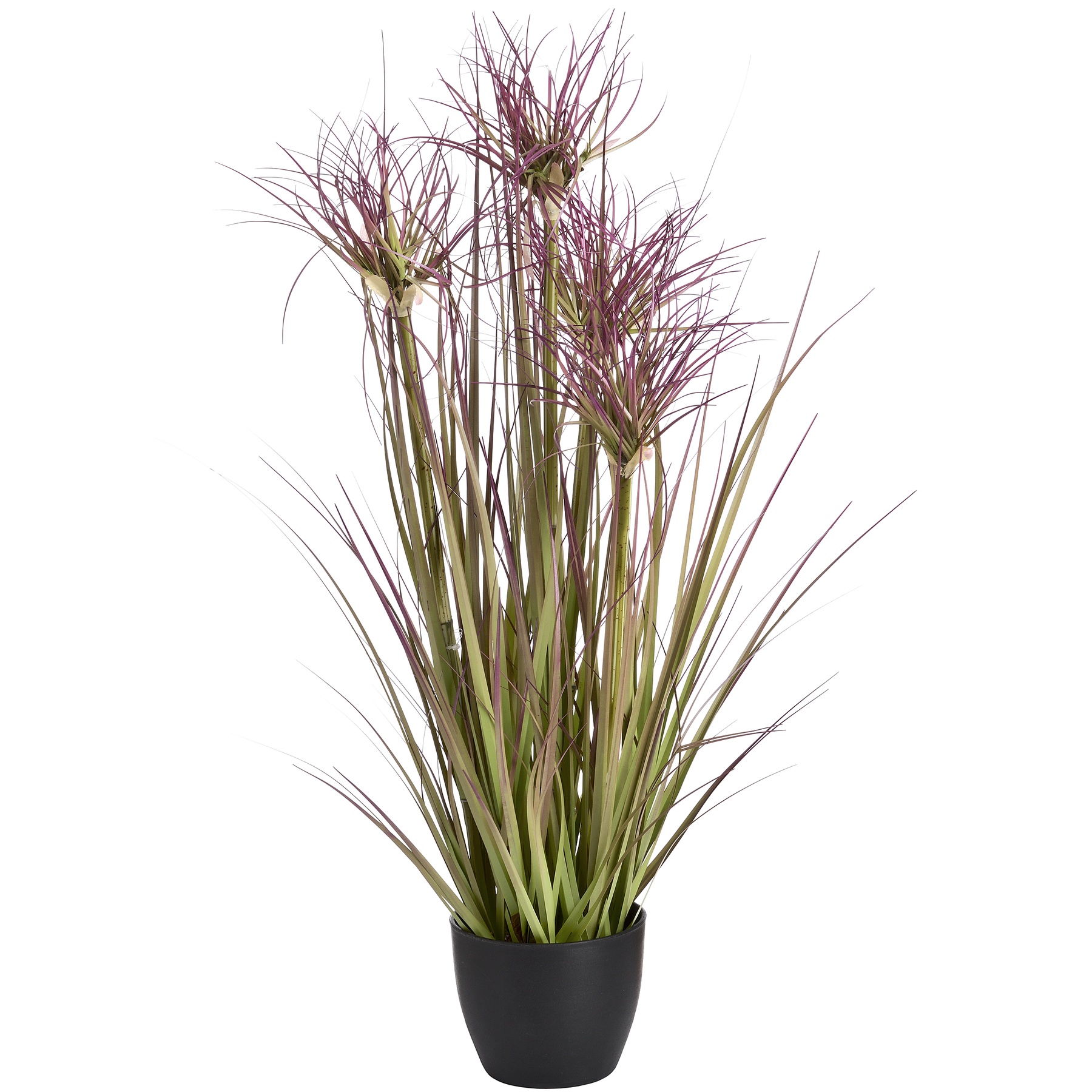 Water Bamboo Grass 24 Inch - Image 1