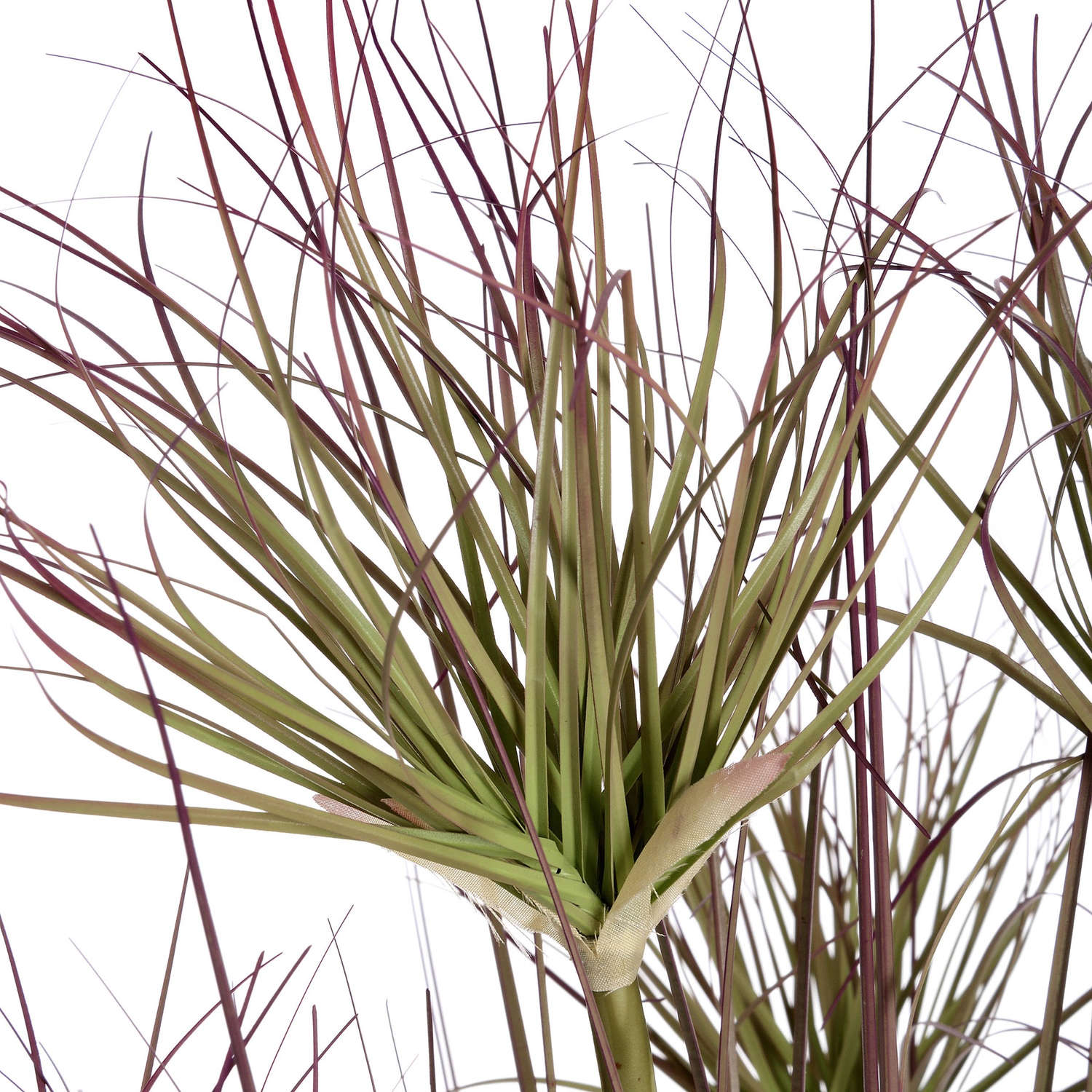 Water Bamboo Grass 48 Inch - Image 2