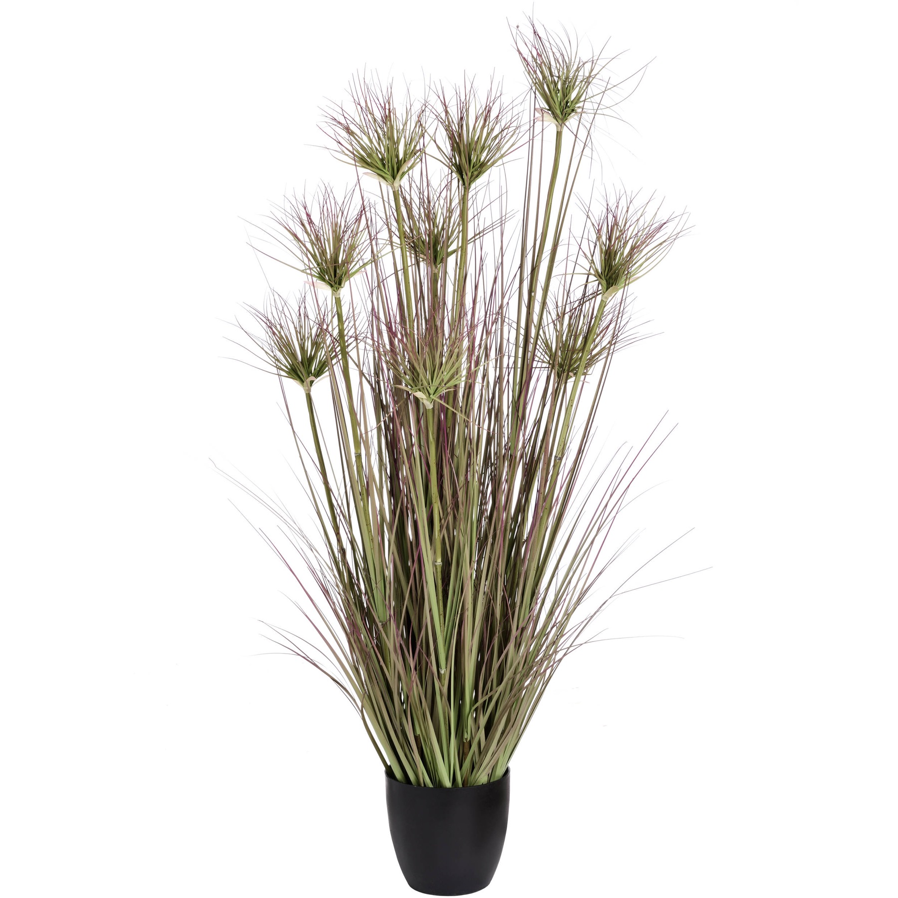 Water Bamboo Grass 48 Inch - Image 1