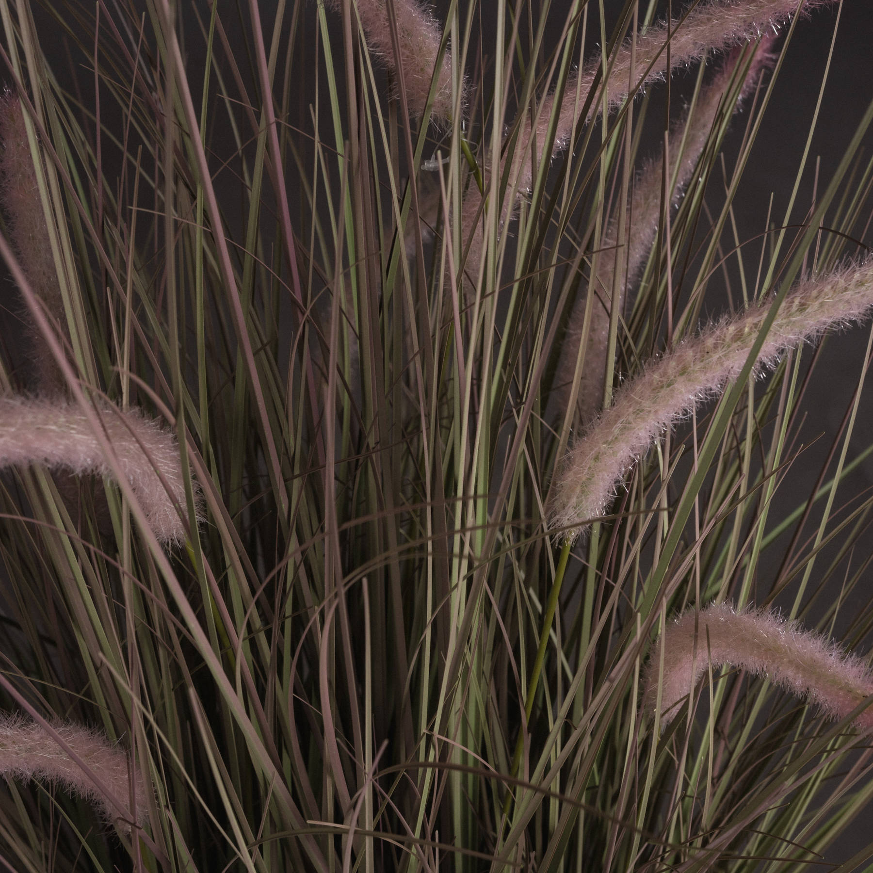 Wild Grass Pot 36 Inch - Image 3