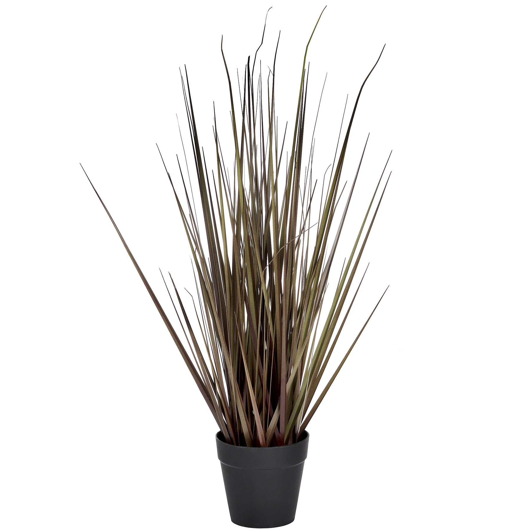 Spray Grass 21 Inch - Image 1