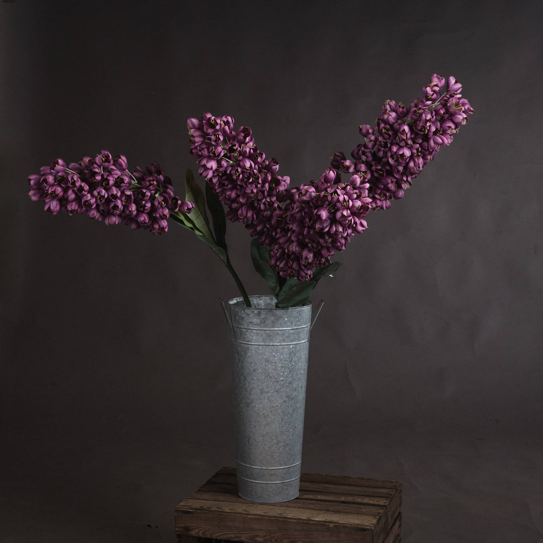 Purple Phoenix Flower Wholesale by Hill Interiors