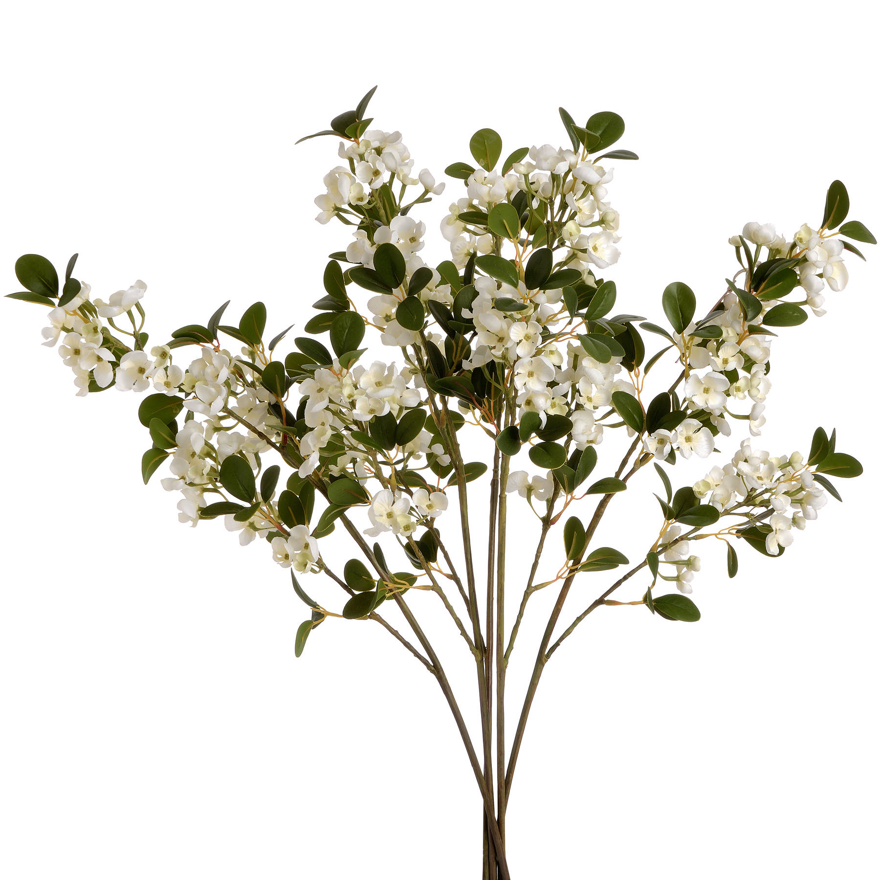 White Spring Mock Orange Flower - Image 4