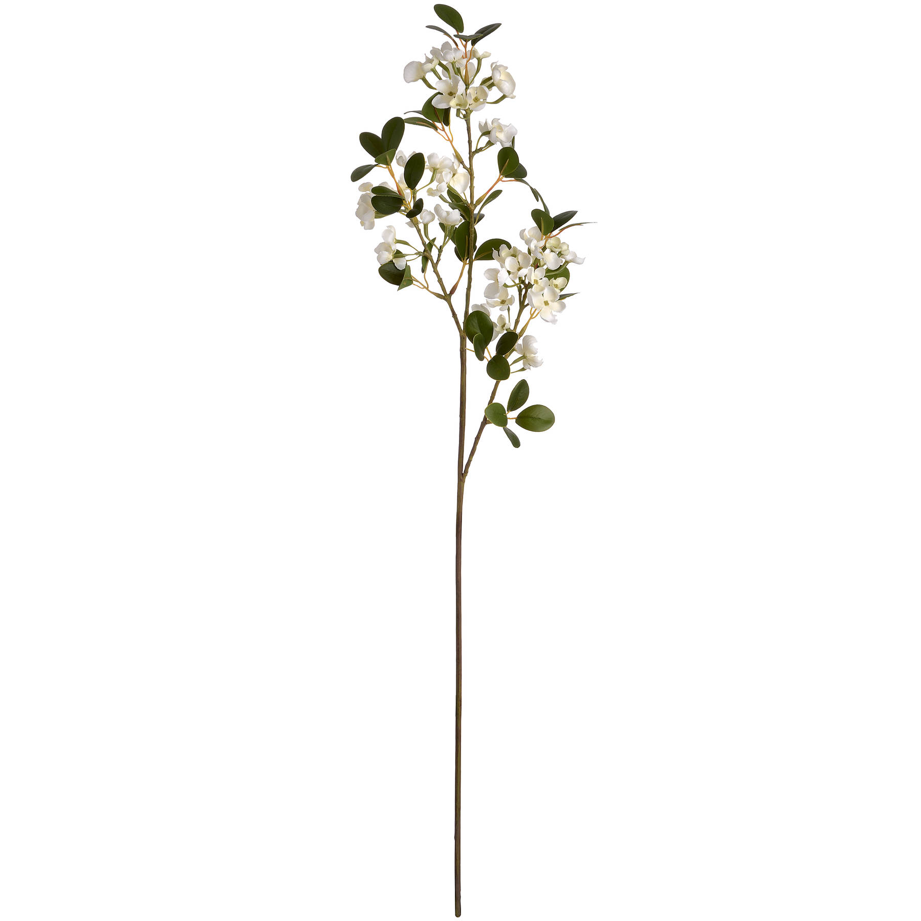 White Spring Mock Orange Flower - Image 6