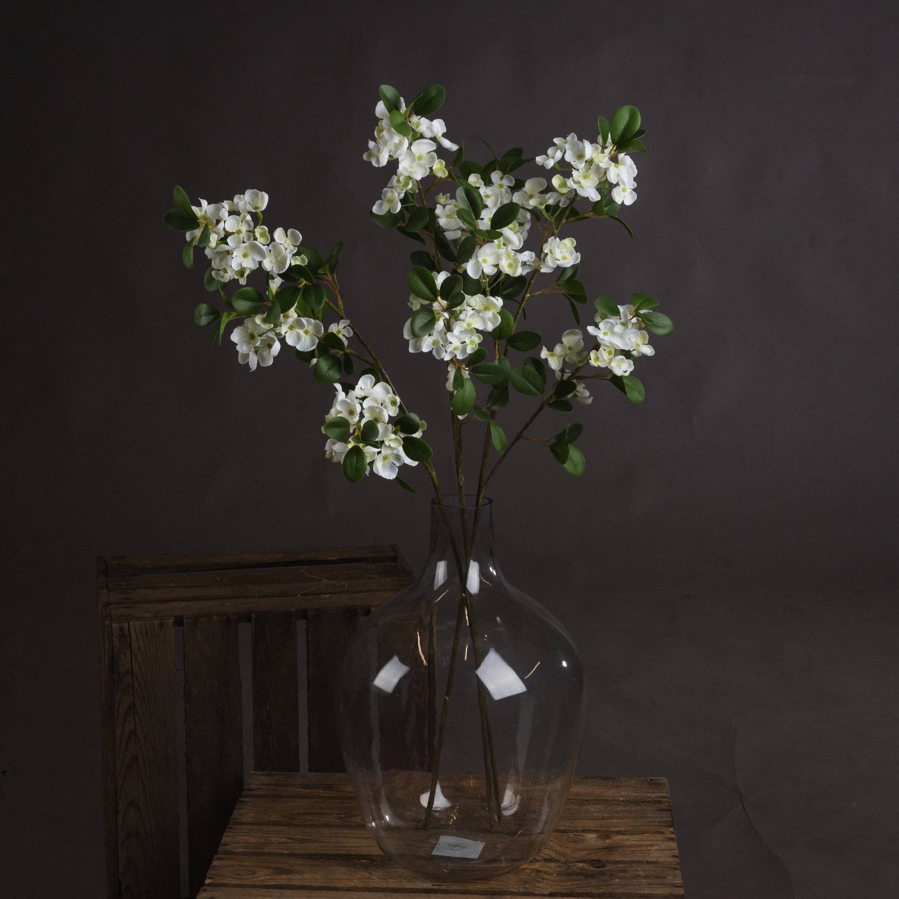 White Spring Mock Orange Flower - Image 1