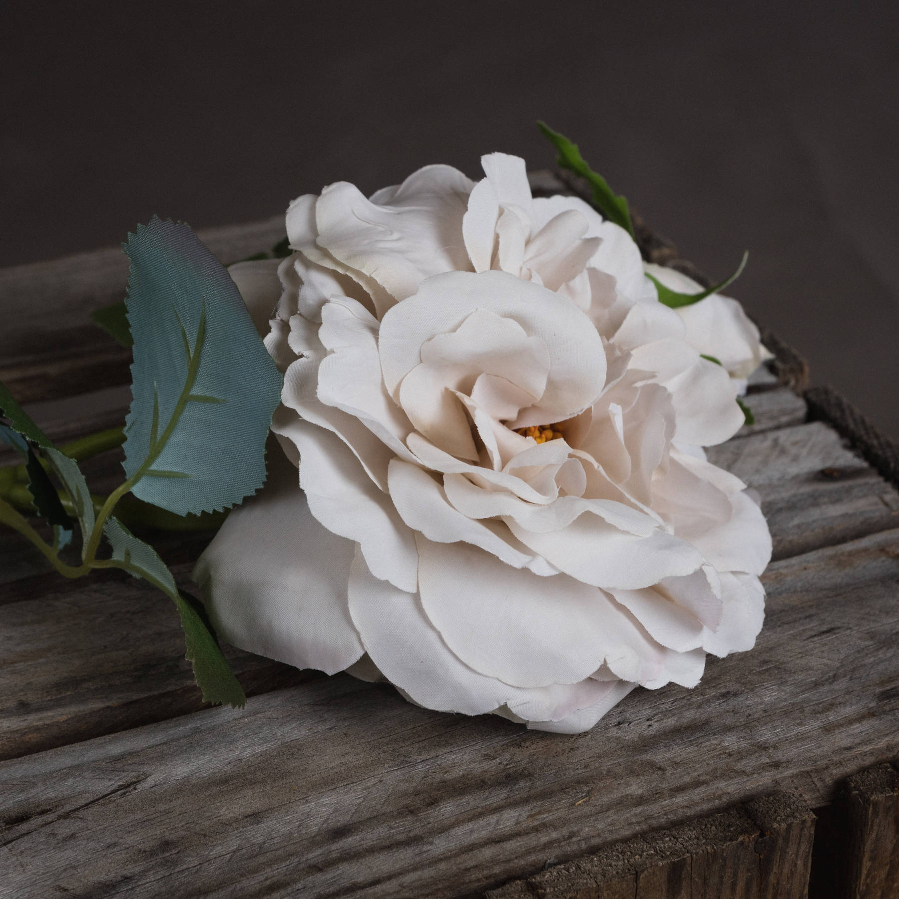 White Short Stem Rose - Image 3