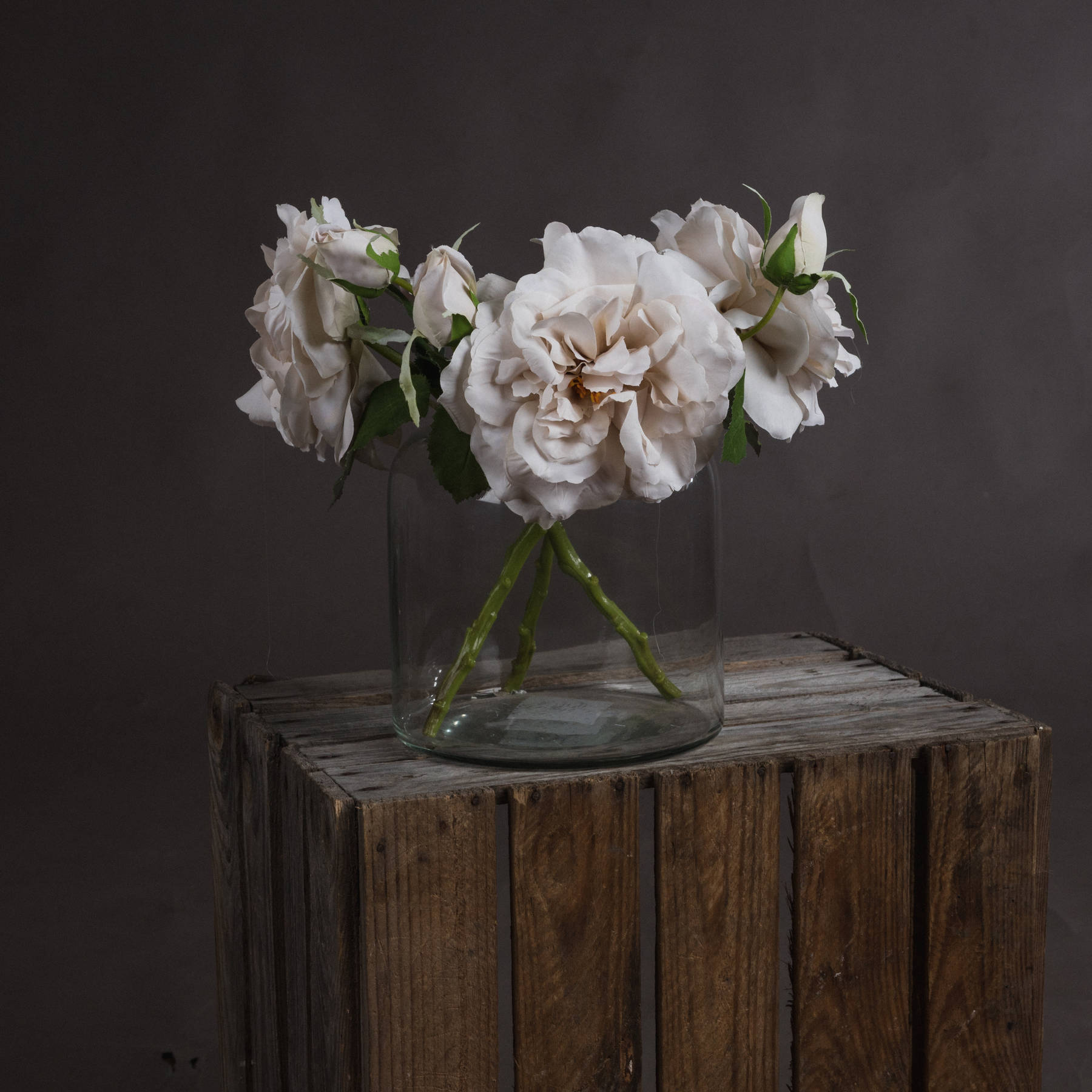 White Short Stem Rose - Image 1