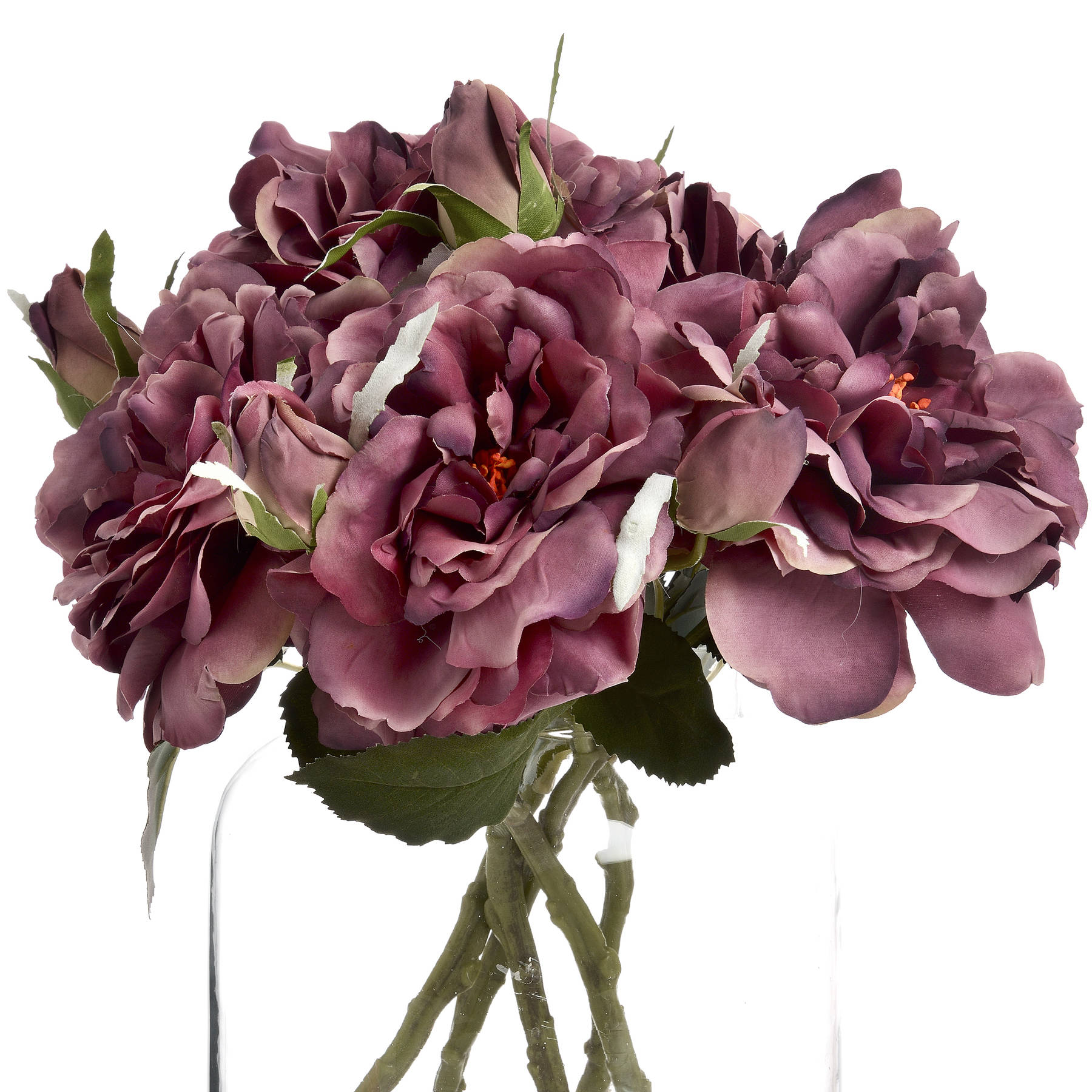Dusty Pink Short Stem Fashion Rose - Image 4