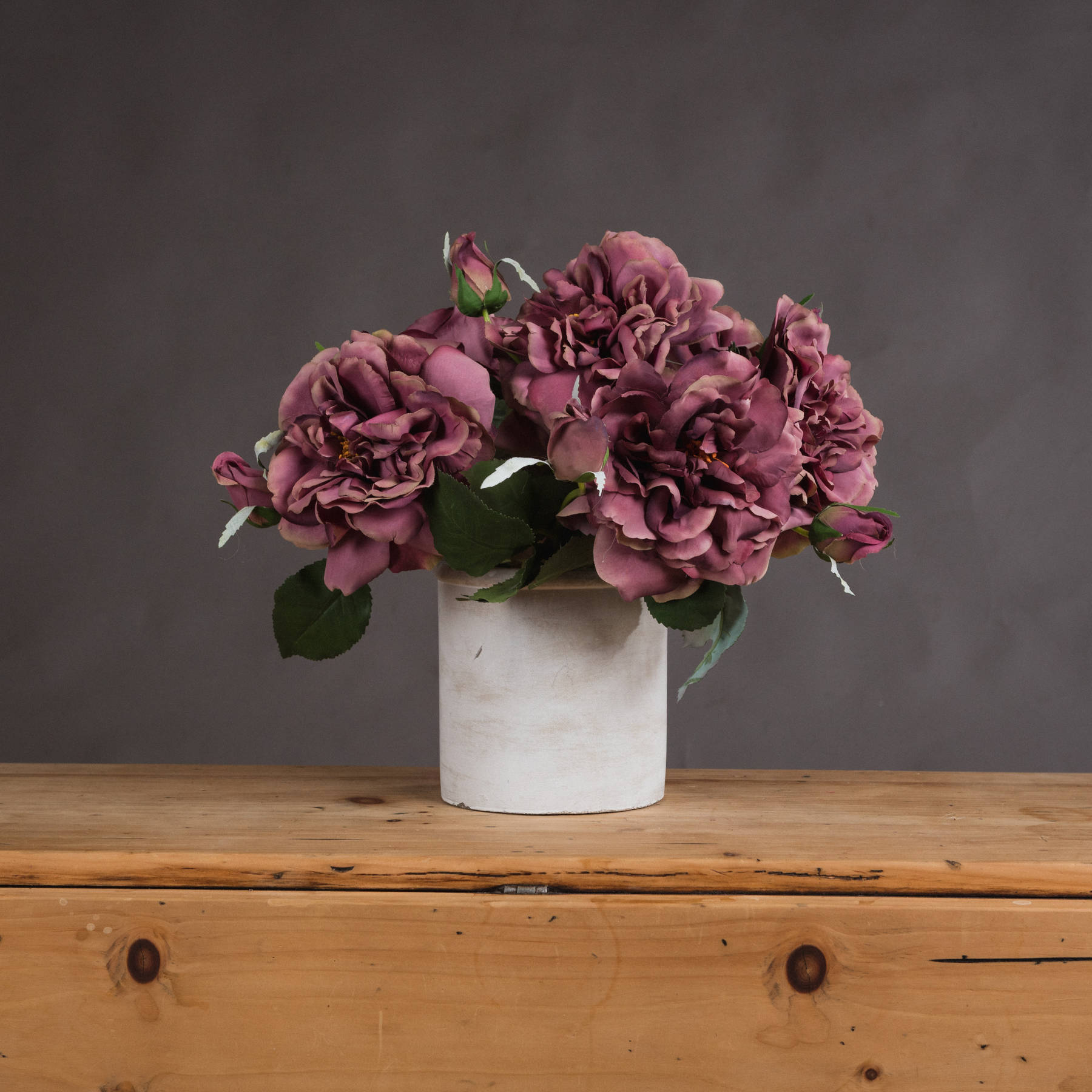 Dusty Pink Short Stem Fashion Rose - Image 1