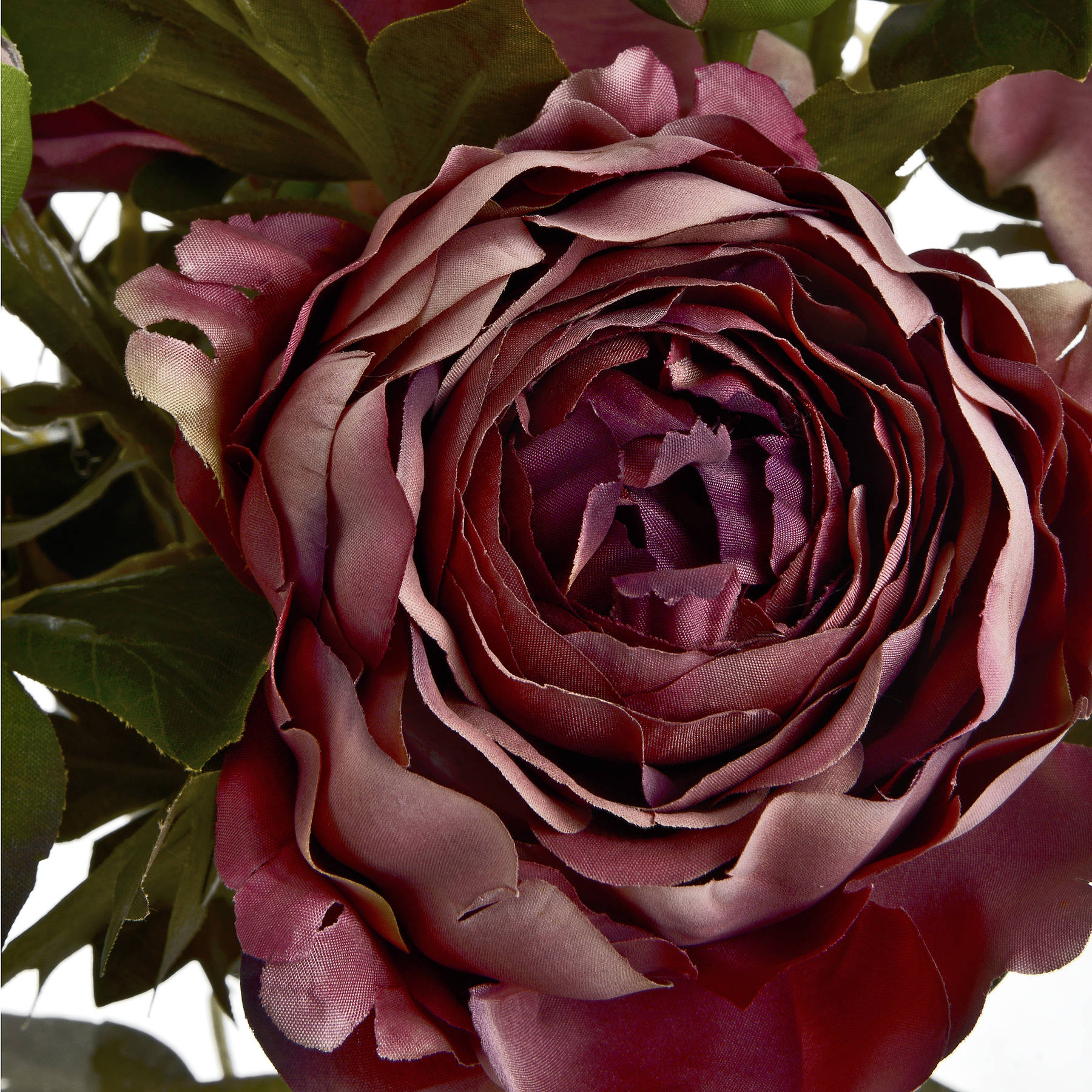 Dusty Pink Spray Rose Peony - Image 5