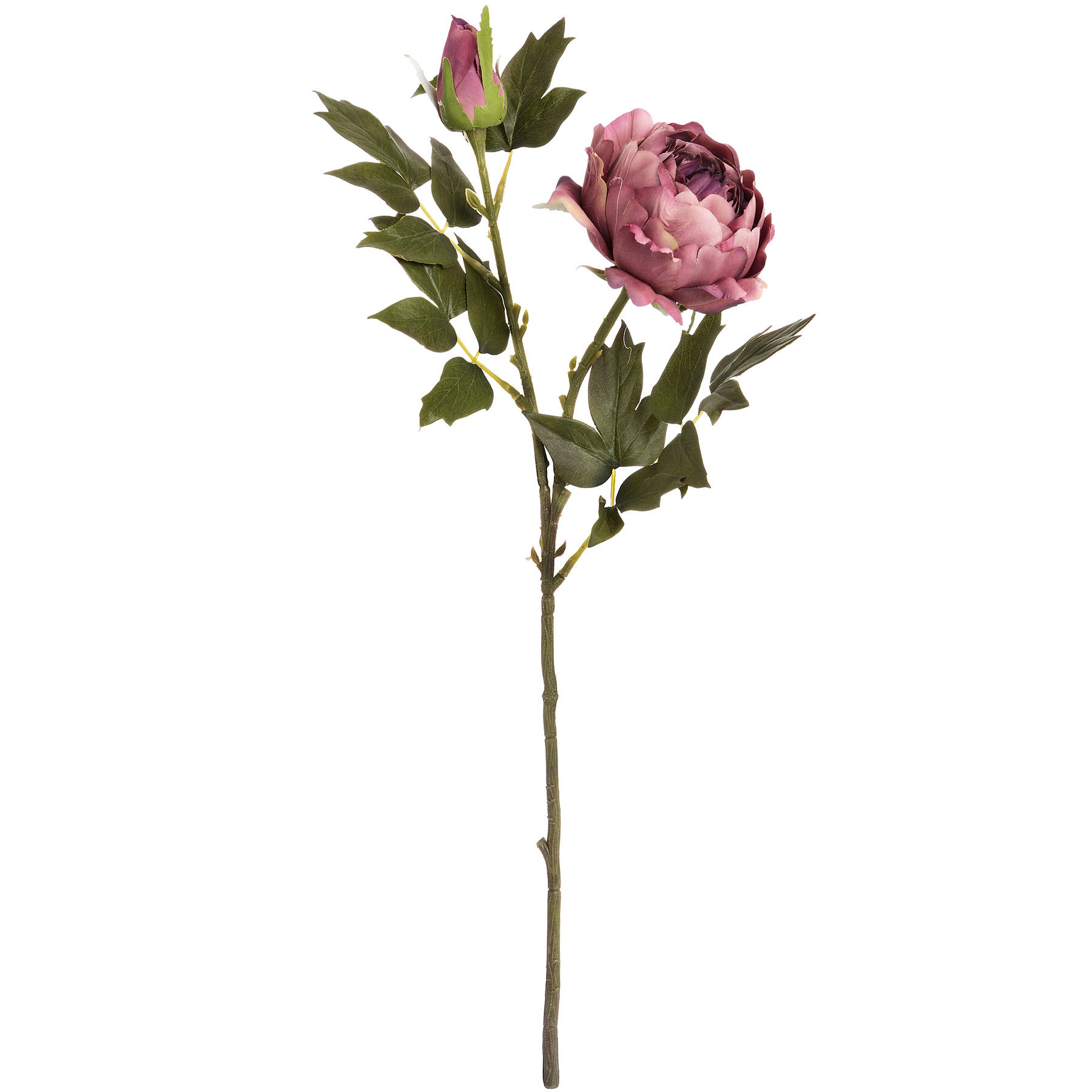 Dusty Pink Spray Rose Peony - Image 6