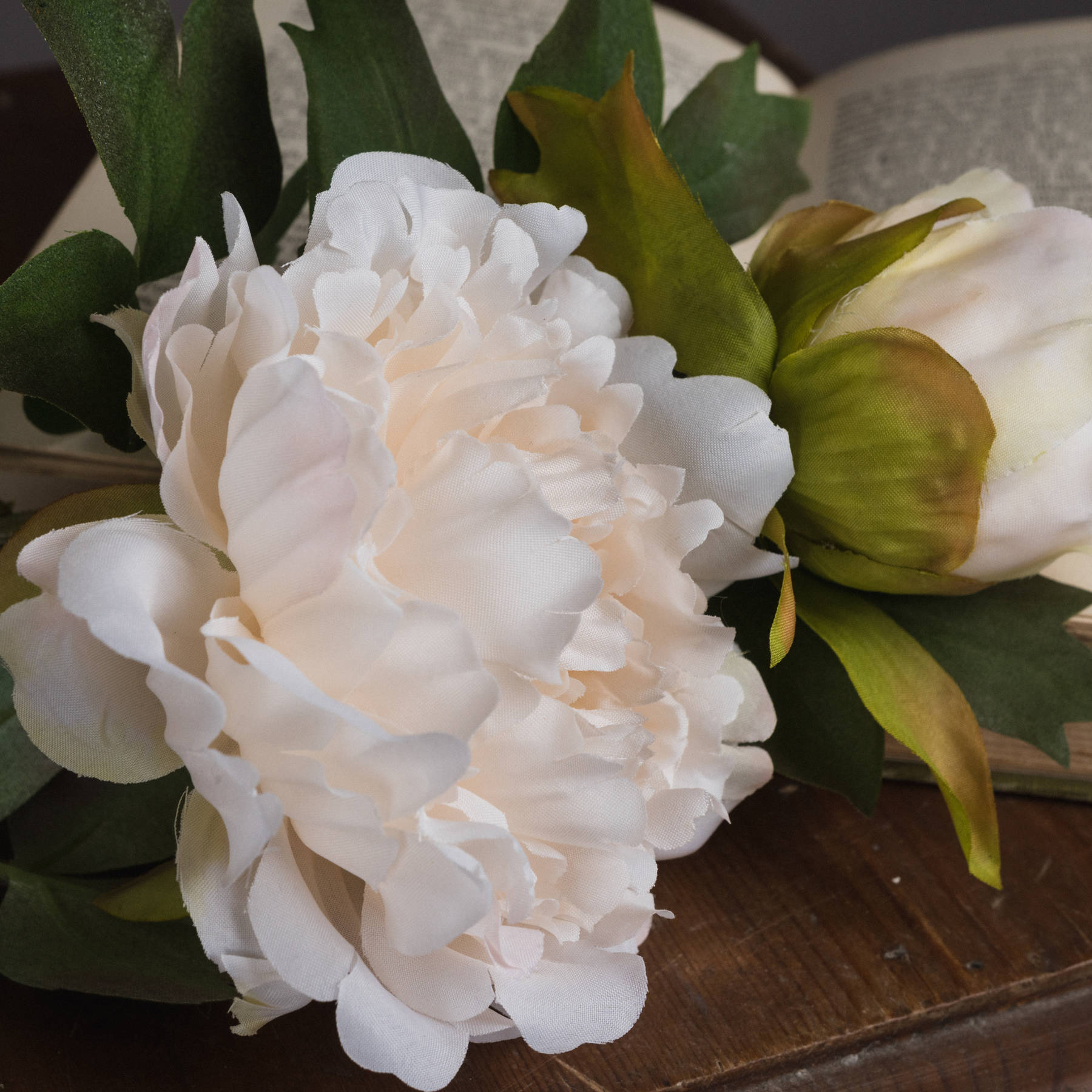 White Fashion Peony - Image 3