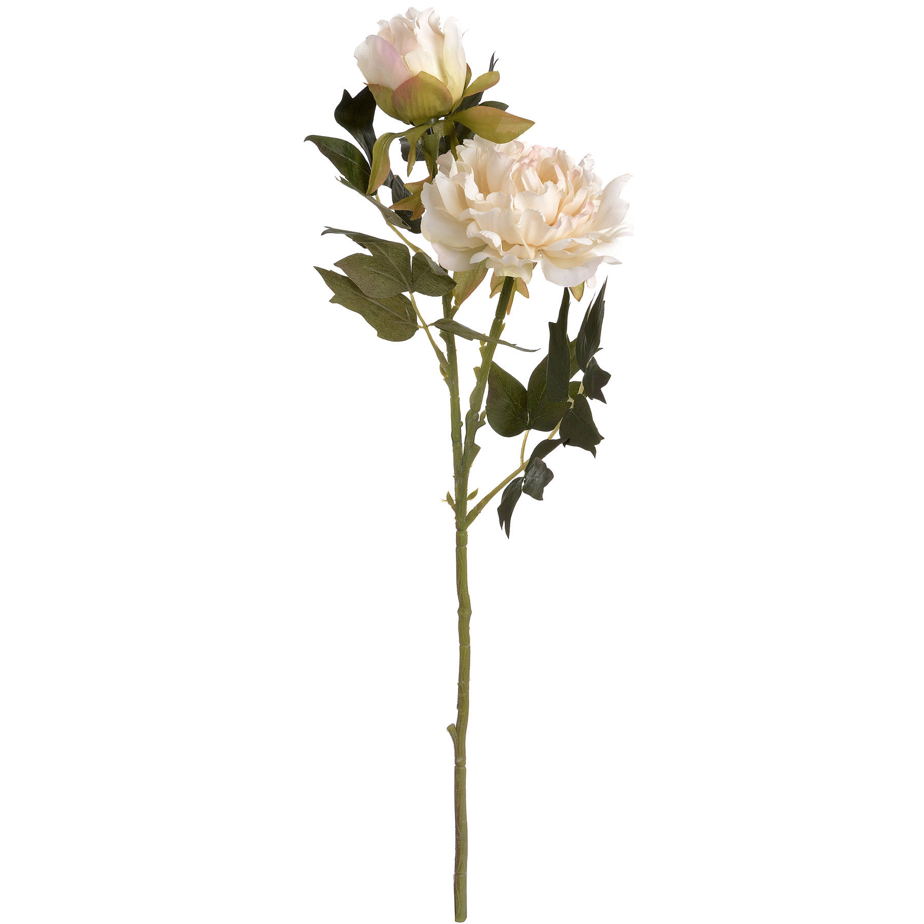 White Fashion Peony - Image 6