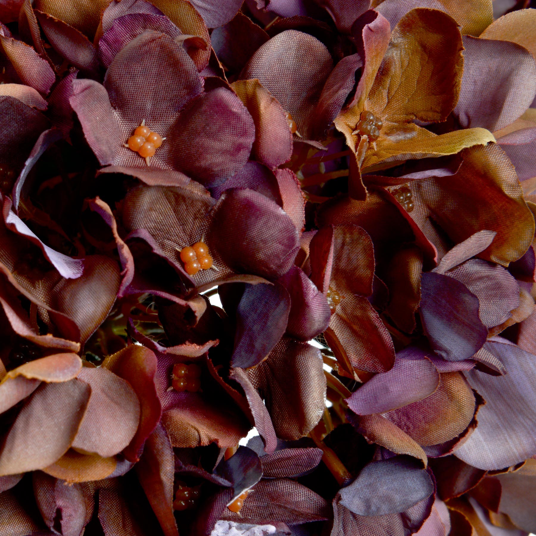 Autumn Coffee Hydrangea - Image 2