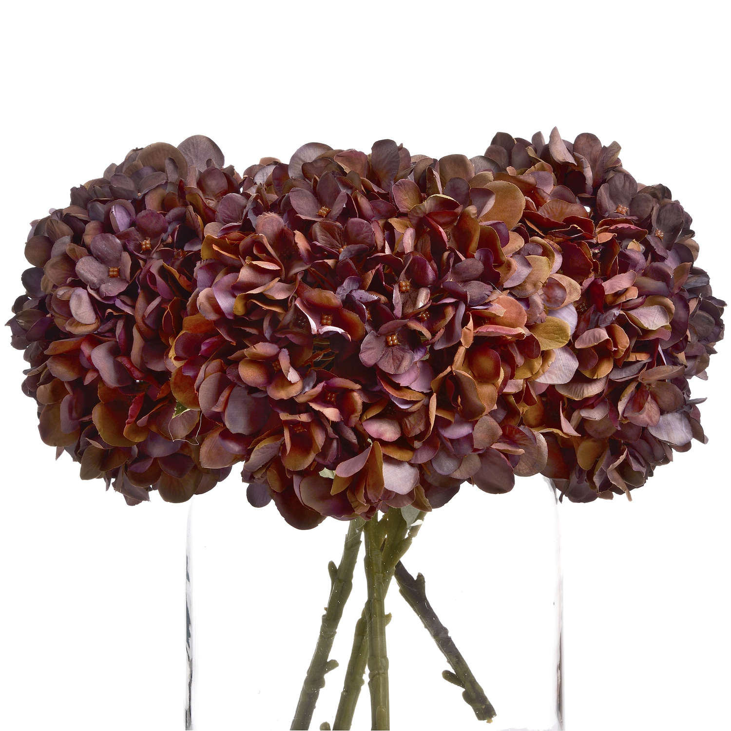 Autumn Coffee Hydrangea - Image 1