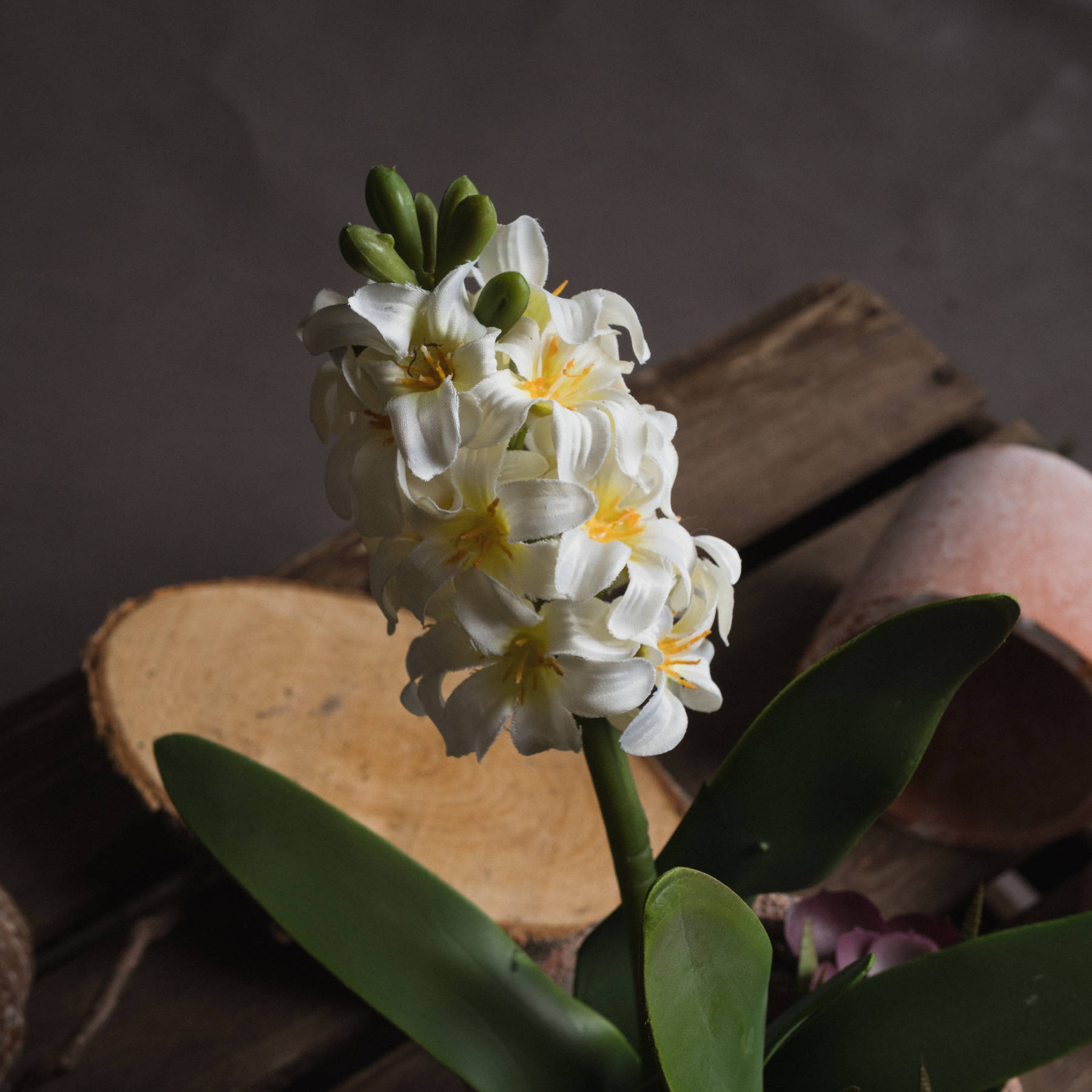 Potted White Hyacinth - Image 3