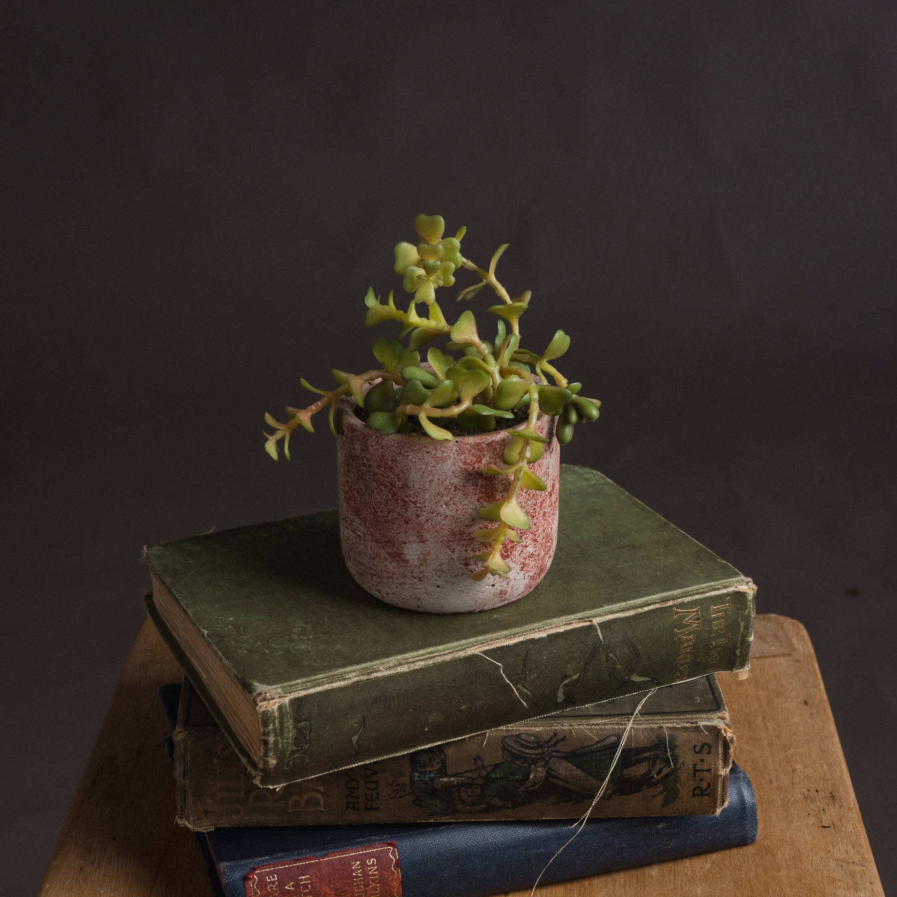 Miniature Potted Succulent - Image 1