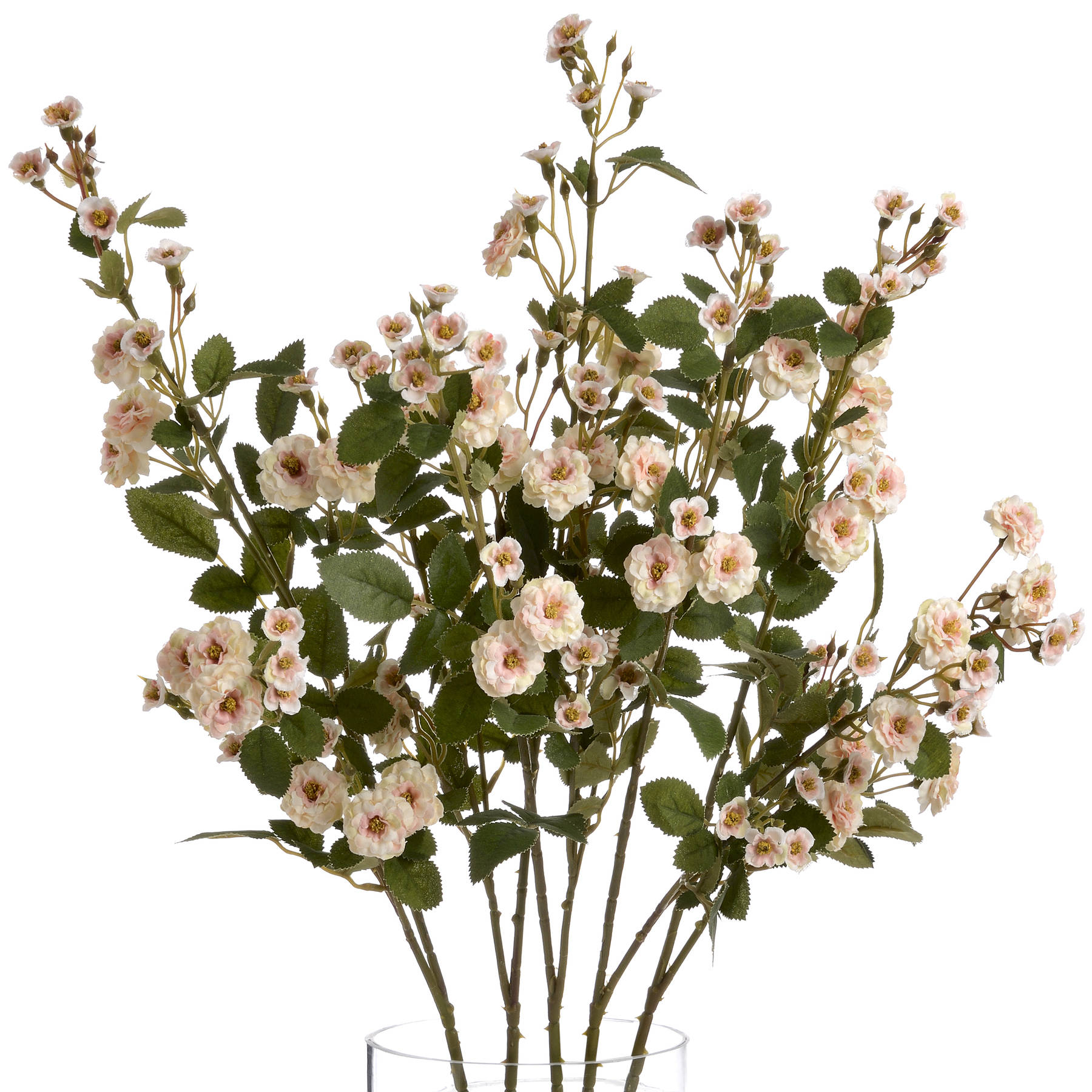 Cream Wild Meadow Rose - Image 4