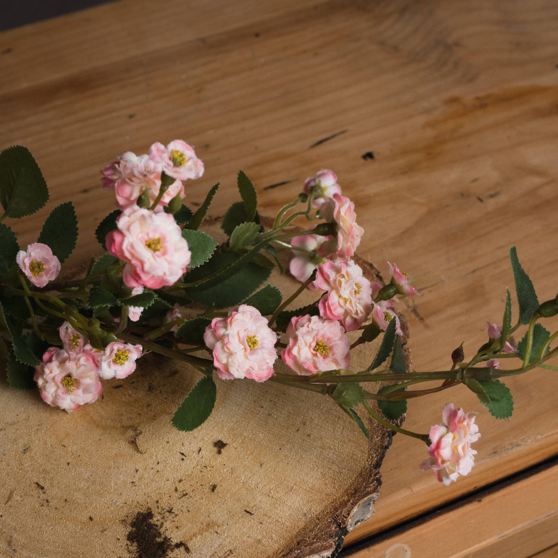 Pink Wild Meadow Rose - Image 3