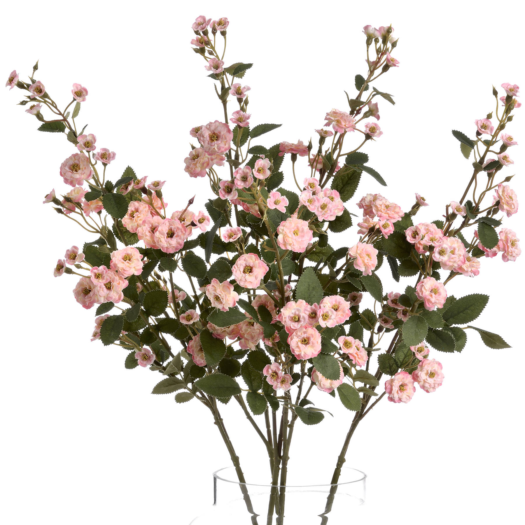 Pink Wild Meadow Rose - Image 4