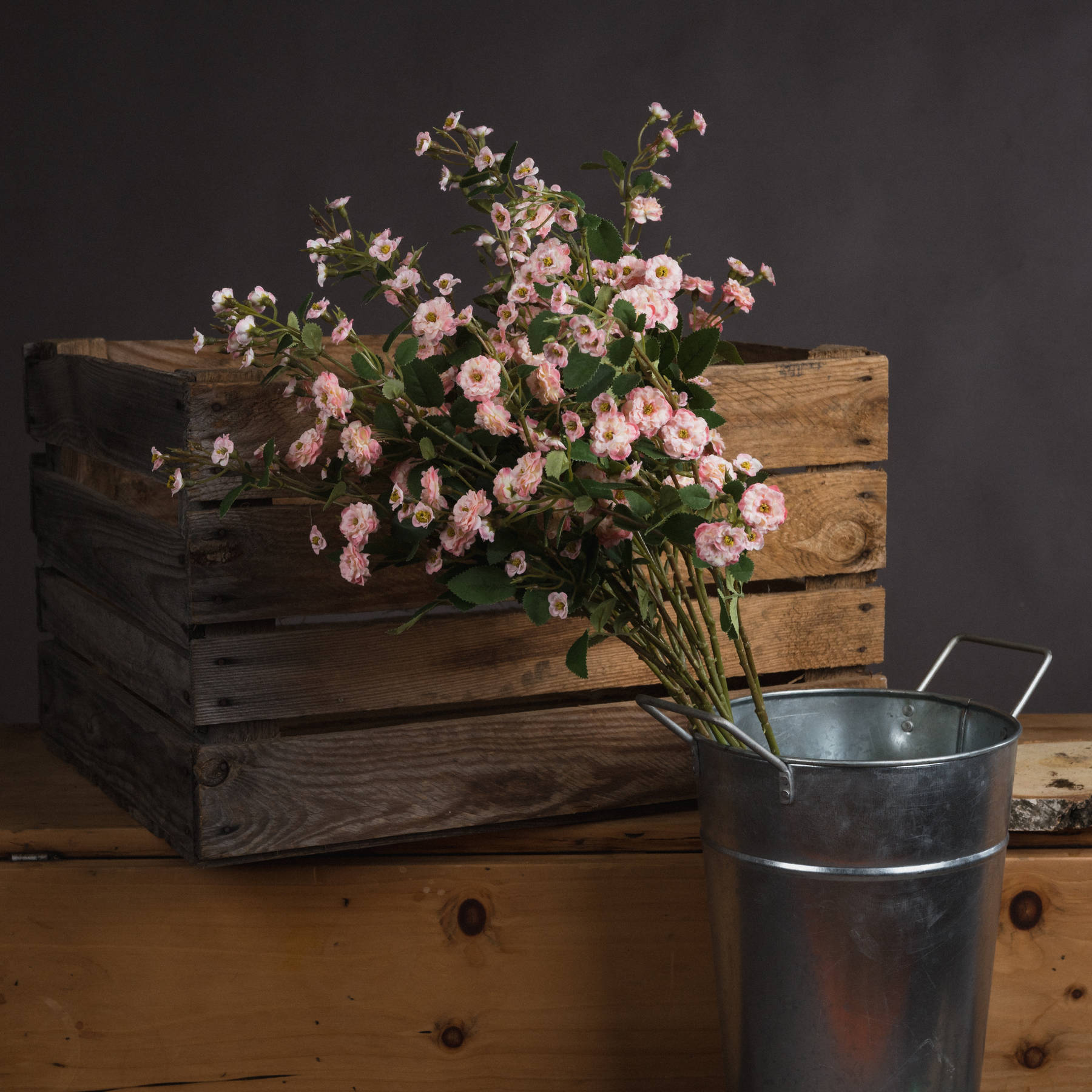 Pink Wild Meadow Rose - Image 1