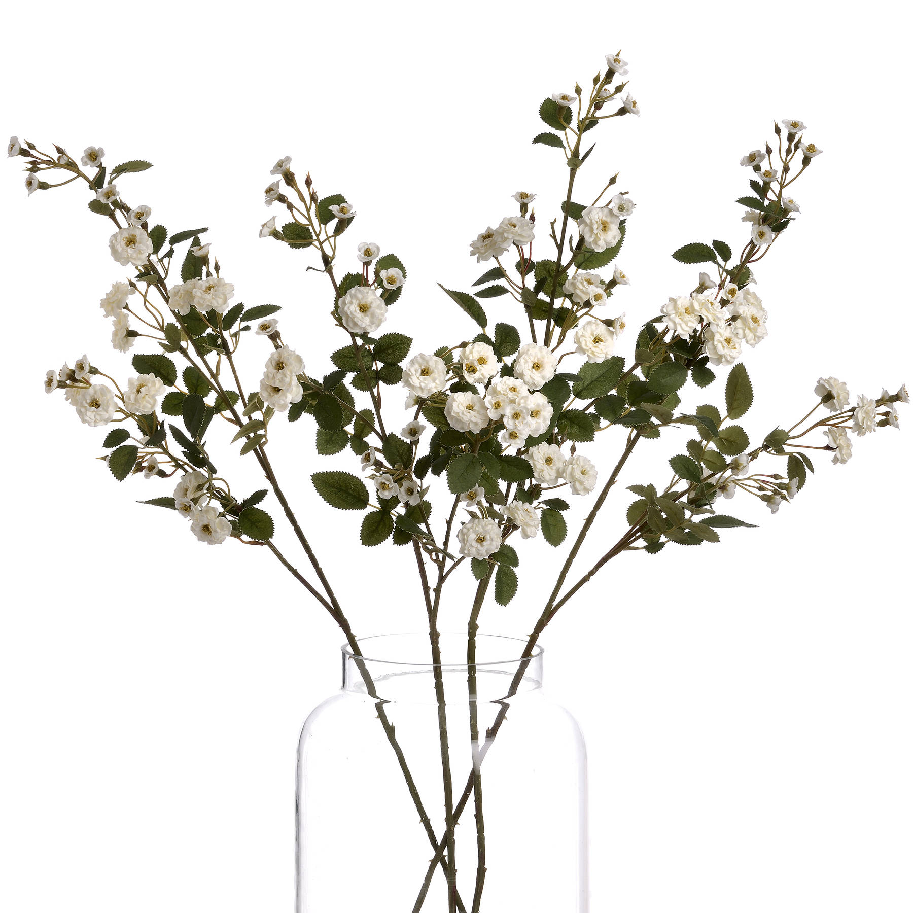 White Wild Meadow Rose - Image 4