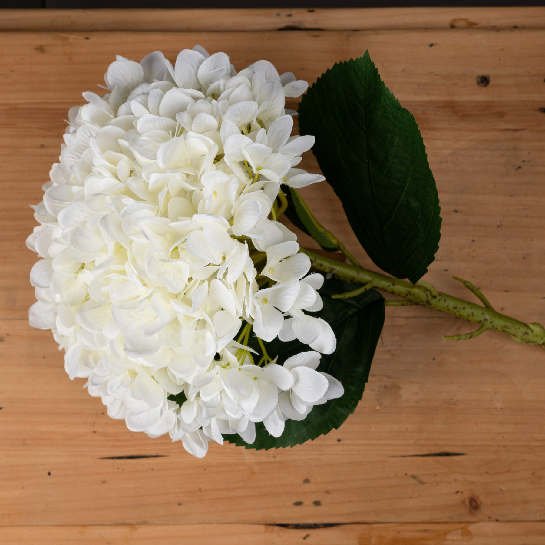 Oversized White Hydrangea - Image 2