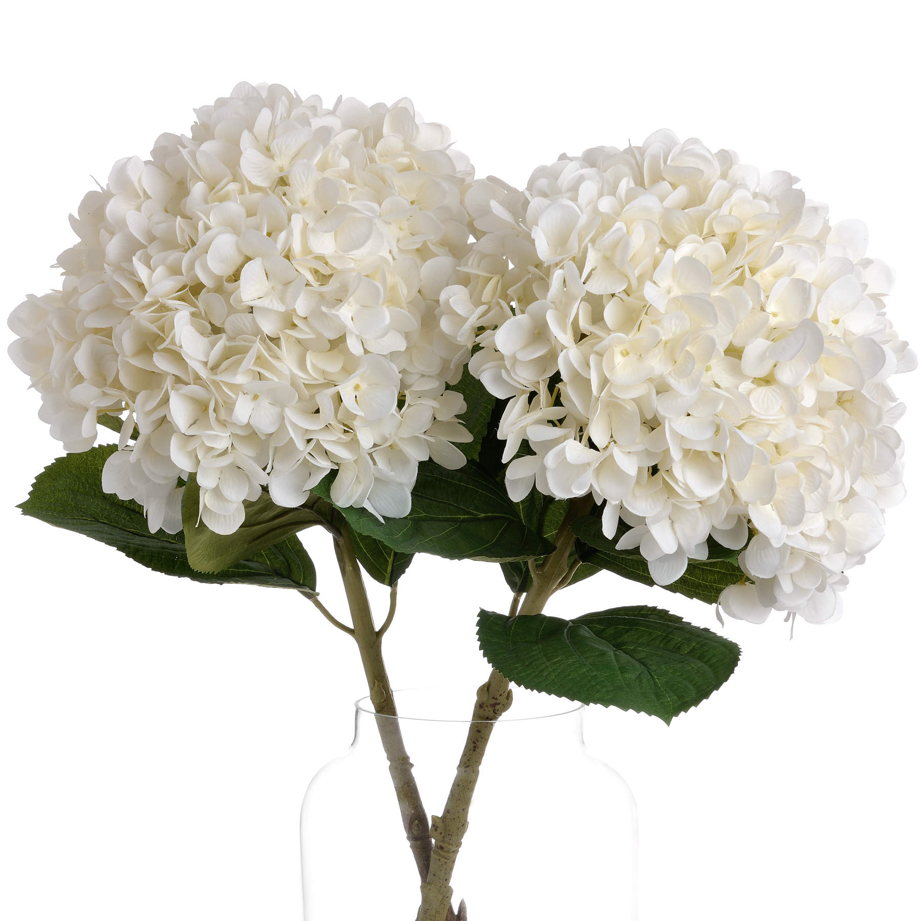 Oversized White Hydrangea - Image 3