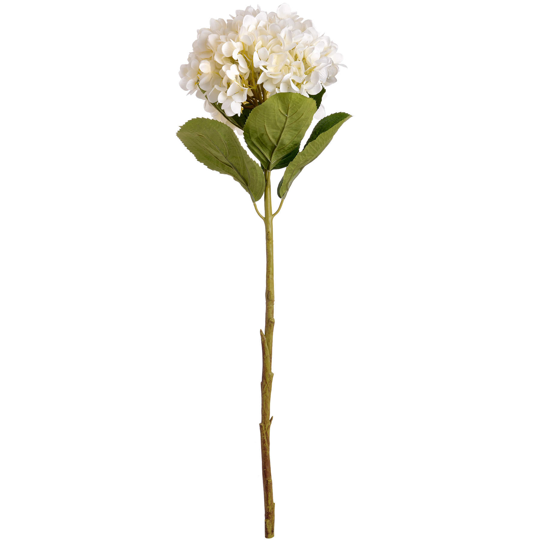 Oversized White Hydrangea - Image 4