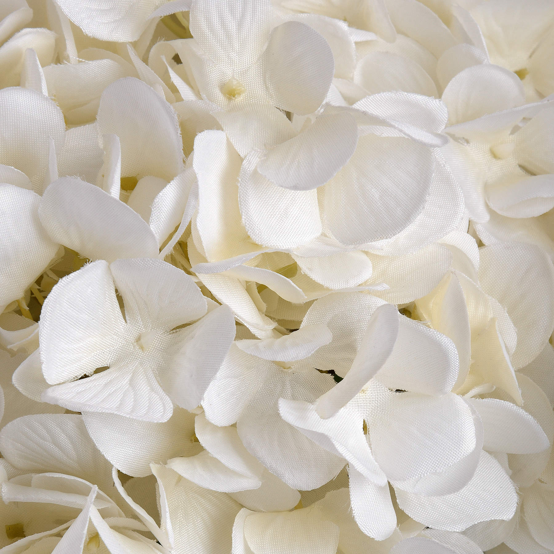 Oversized White Hydrangea - Image 5