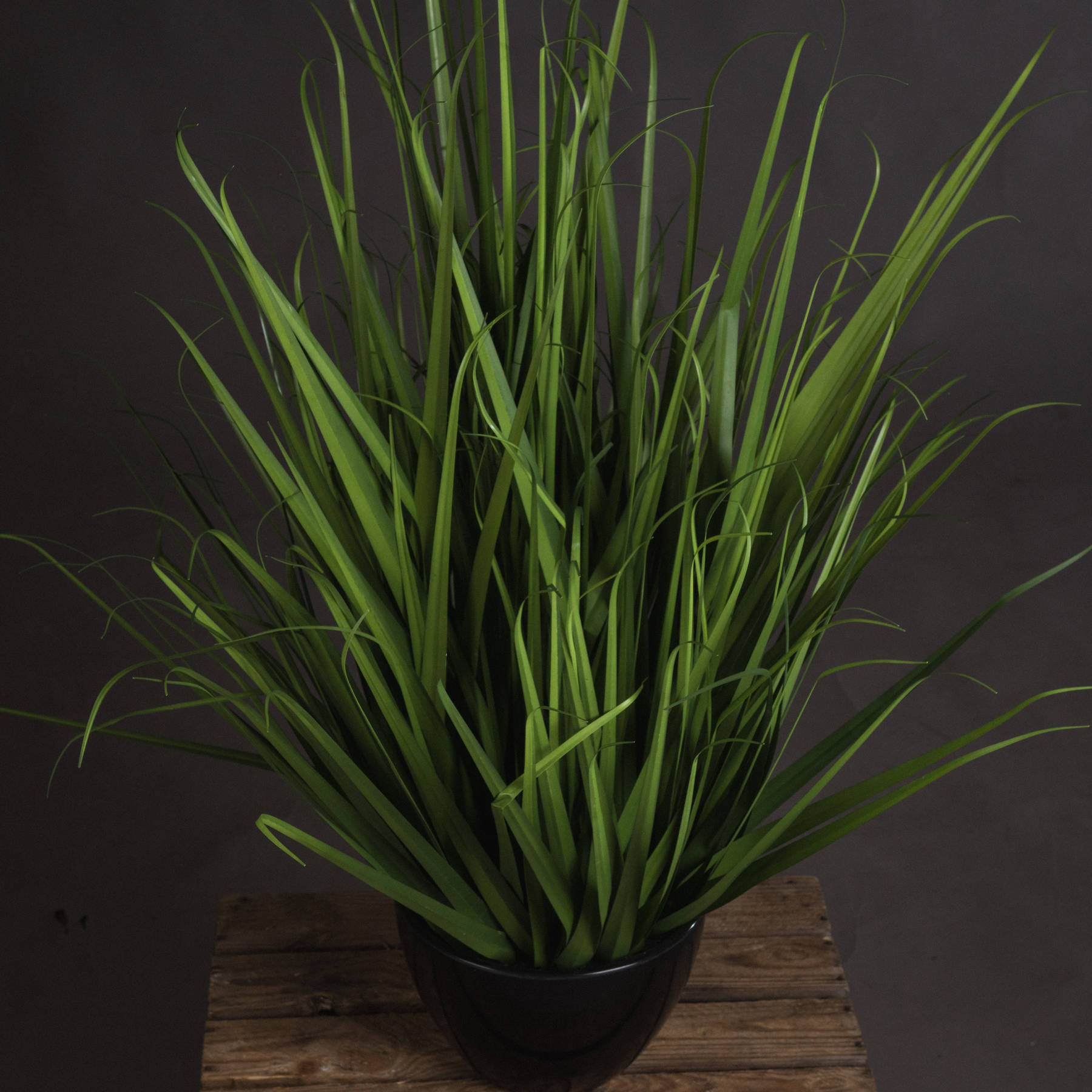 Large Field Grass pot - Image 2