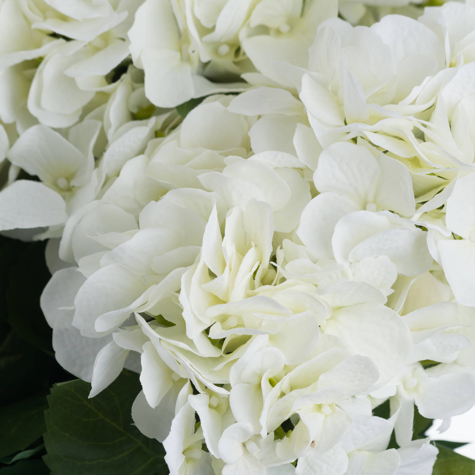 White Hydrangea Bouquet - Image 5