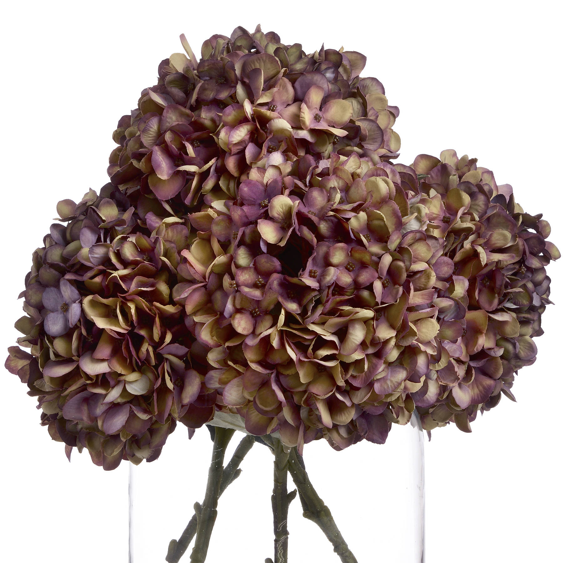 Autumn Burgundy Hydrangea - Image 4