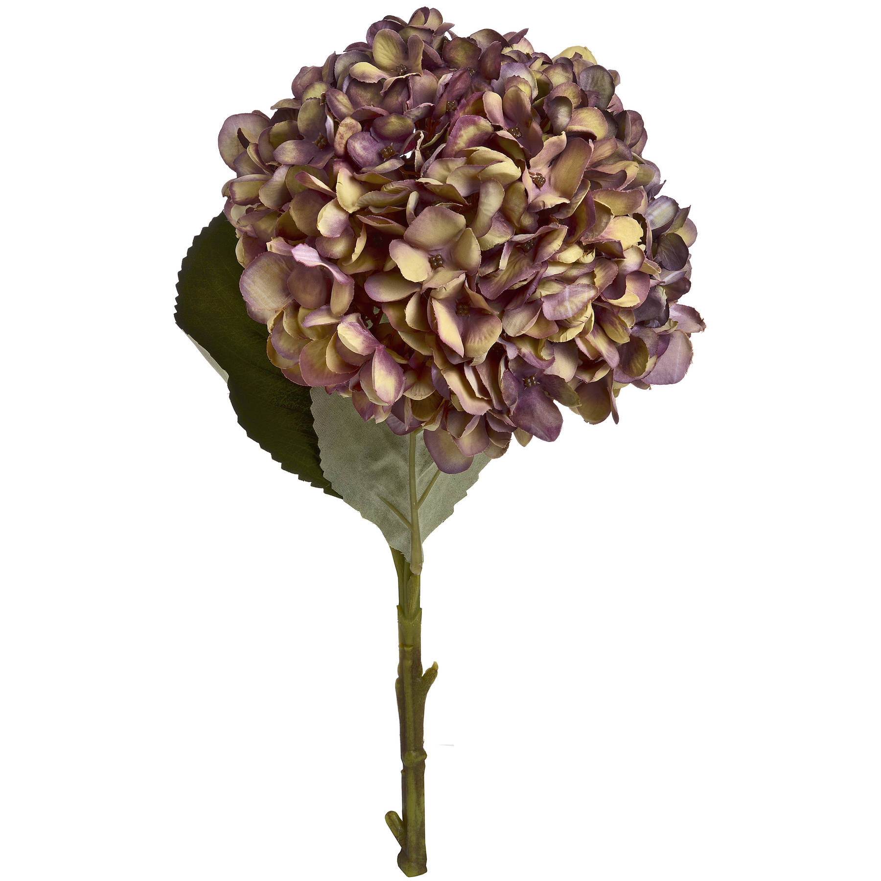 Autumn Burgundy Hydrangea - Image 6