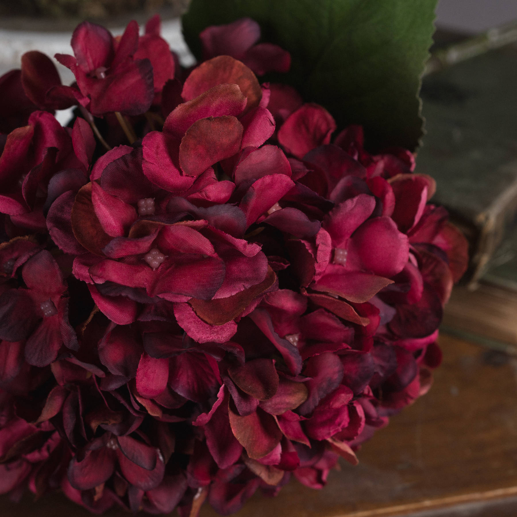 Autumn Ruby Hydrangea - Image 3