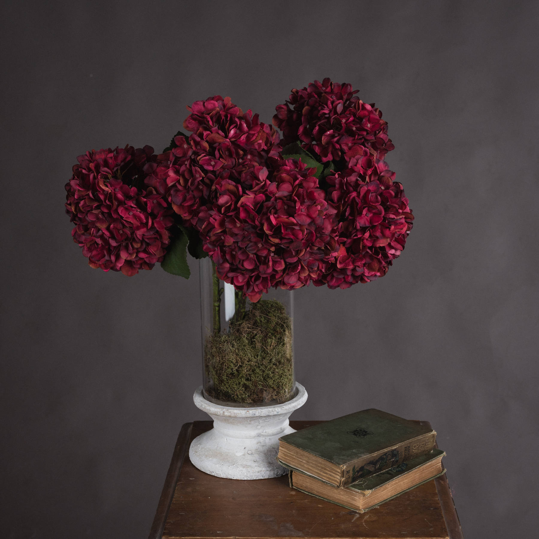 Autumn Ruby Hydrangea - Image 1