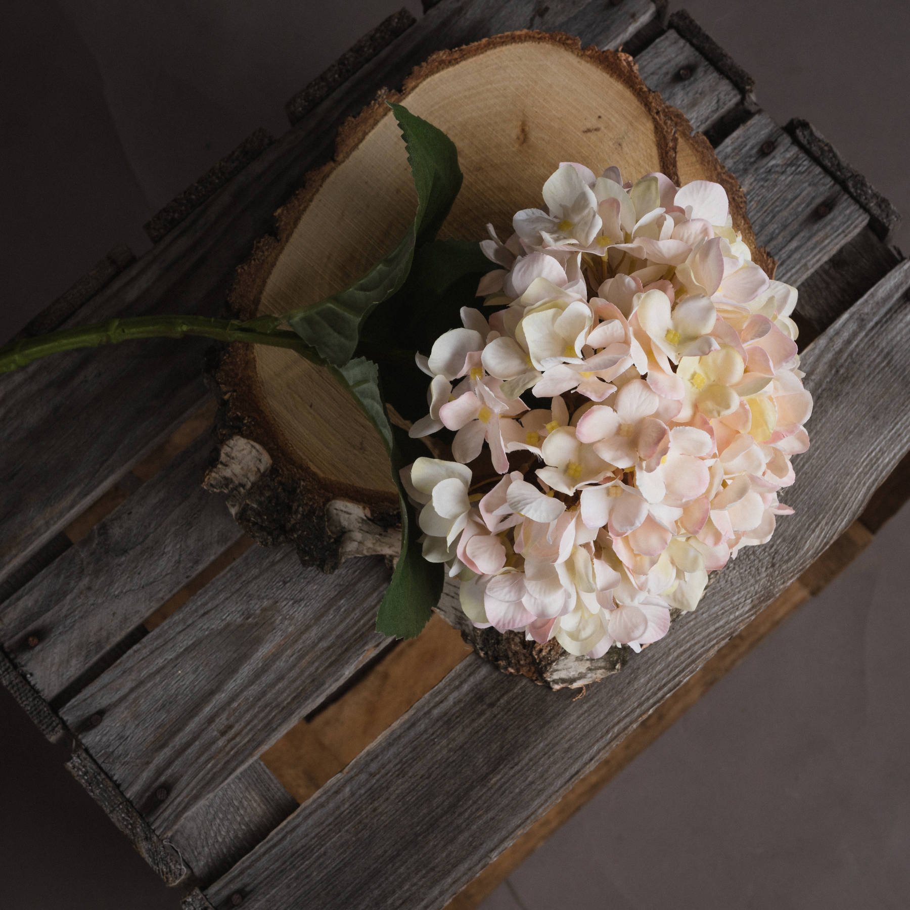 Autumn White Hydrangea - Image 2