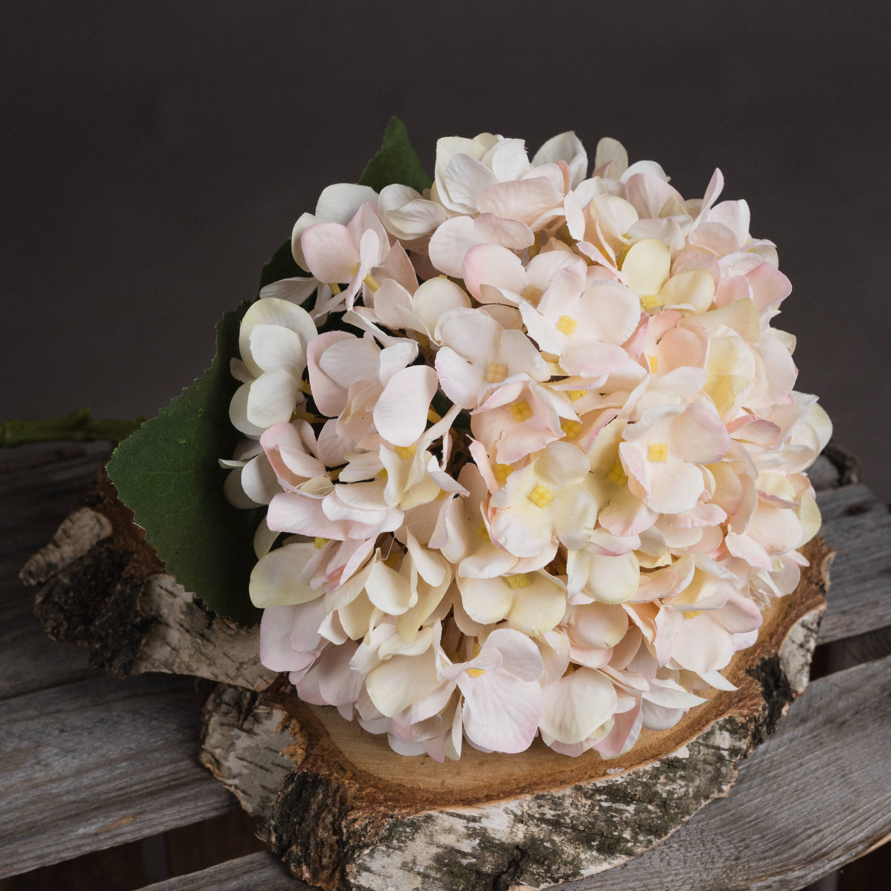 Autumn White Hydrangea - Image 3